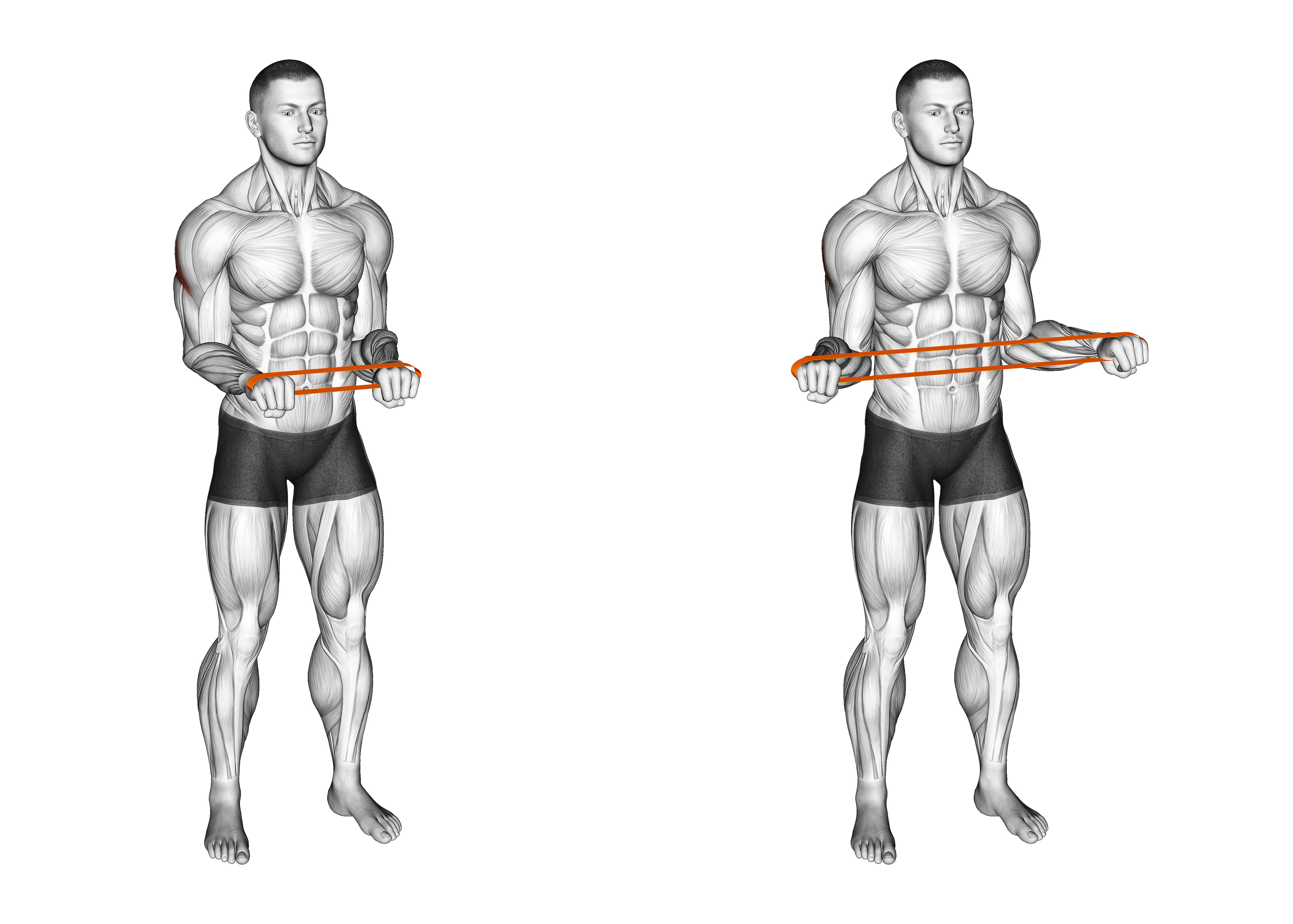 Resistance Band Pullapart (pronated At 90 Degrees)