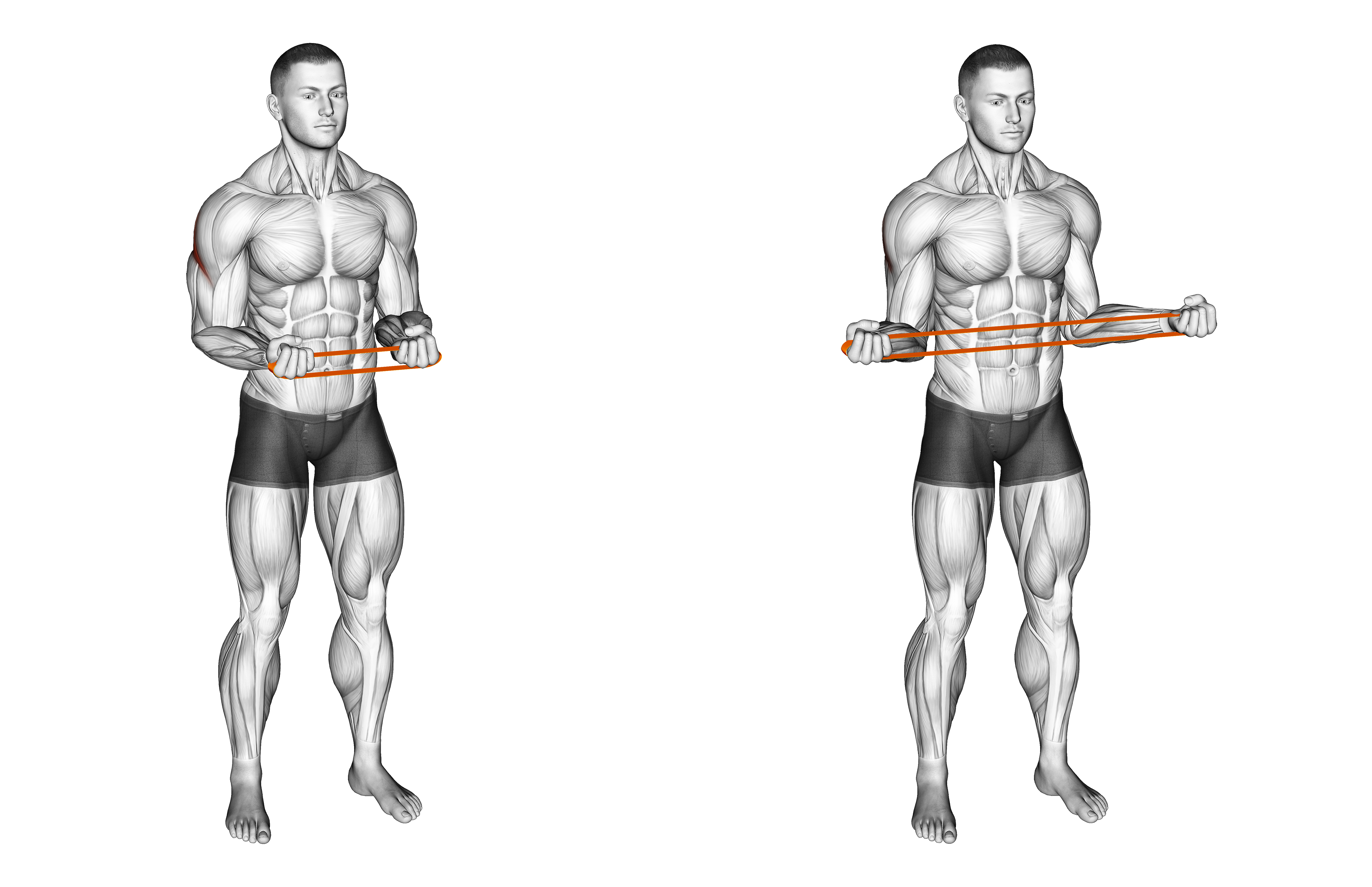 Resistance Band Pullapart (supination At 90 Degrees)