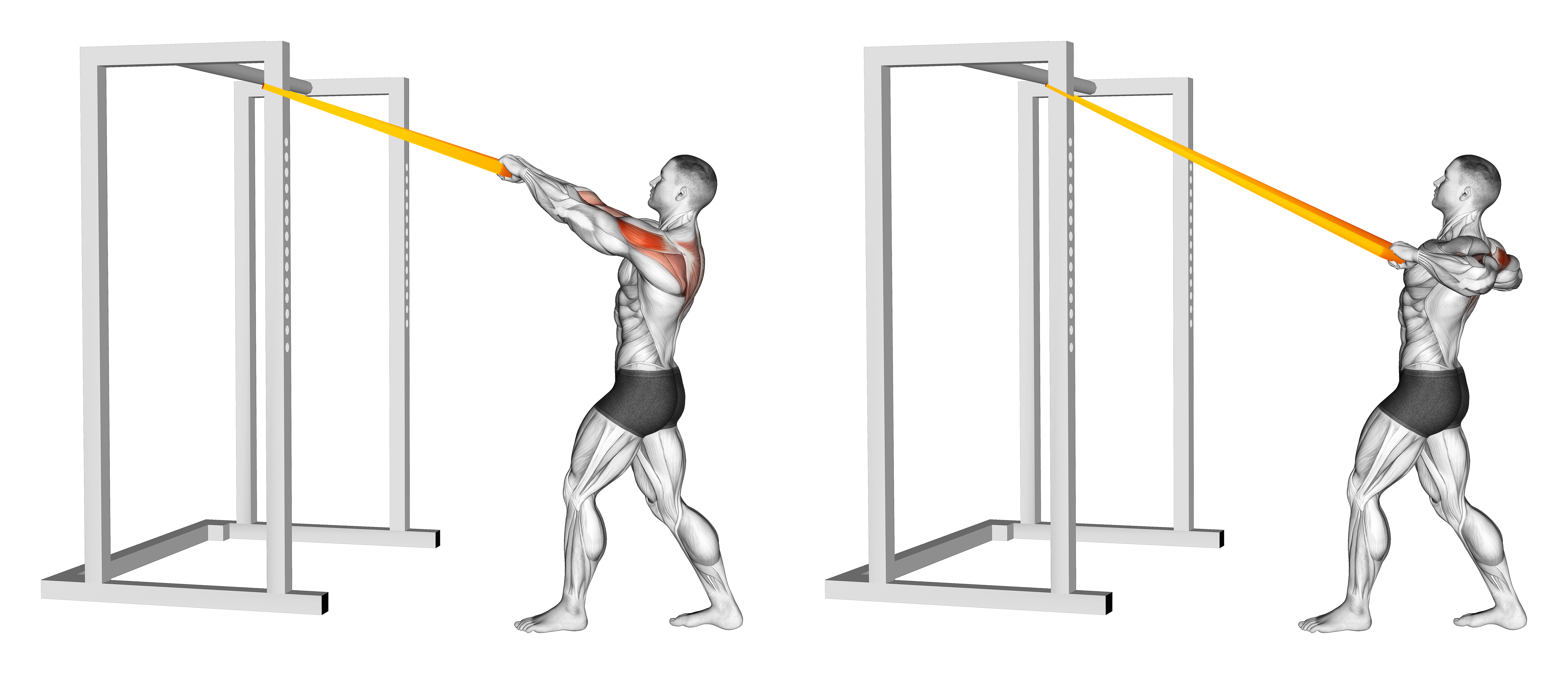 Resistance Band Rear Delt Row