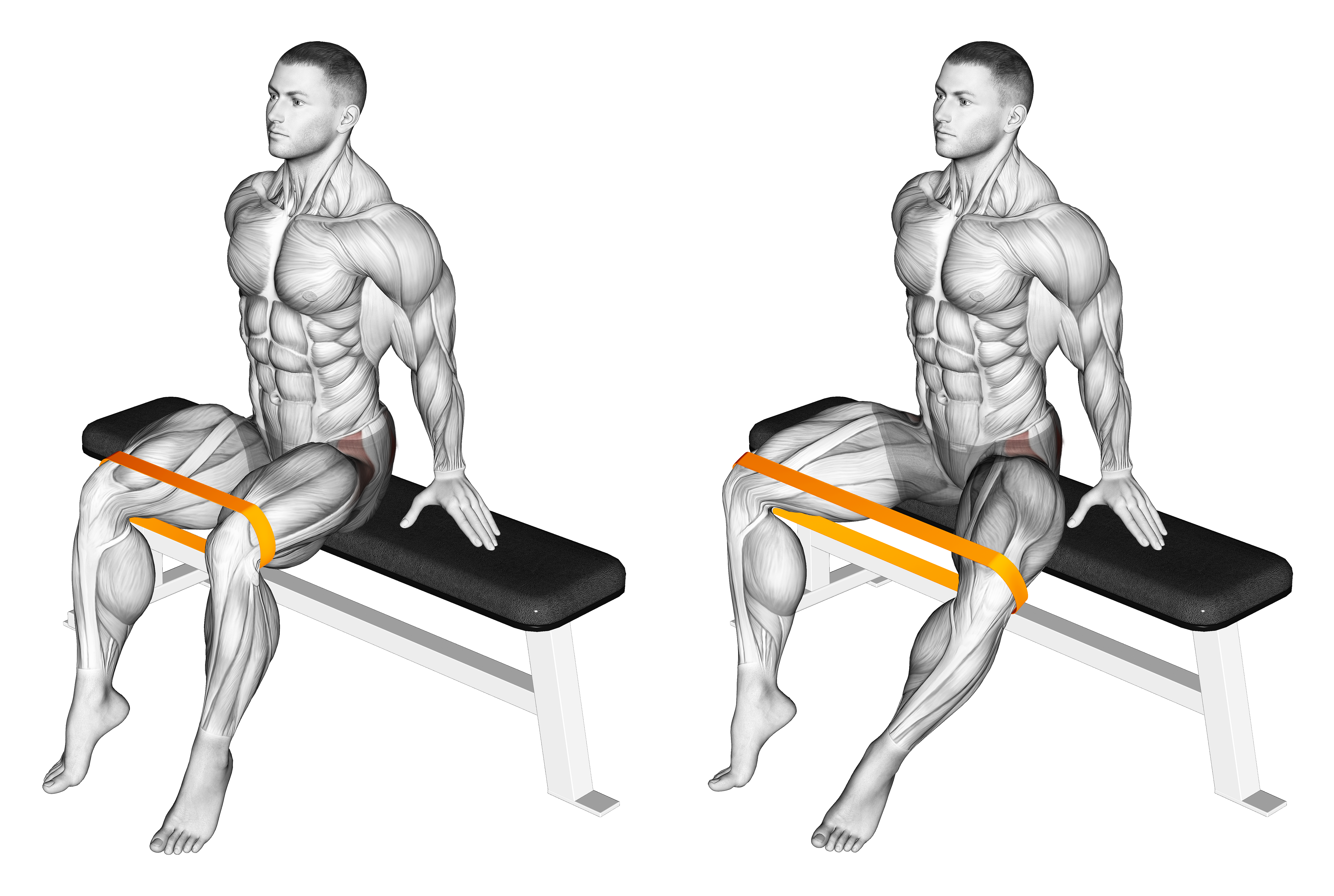Resistance Band Seated Hip Abduction