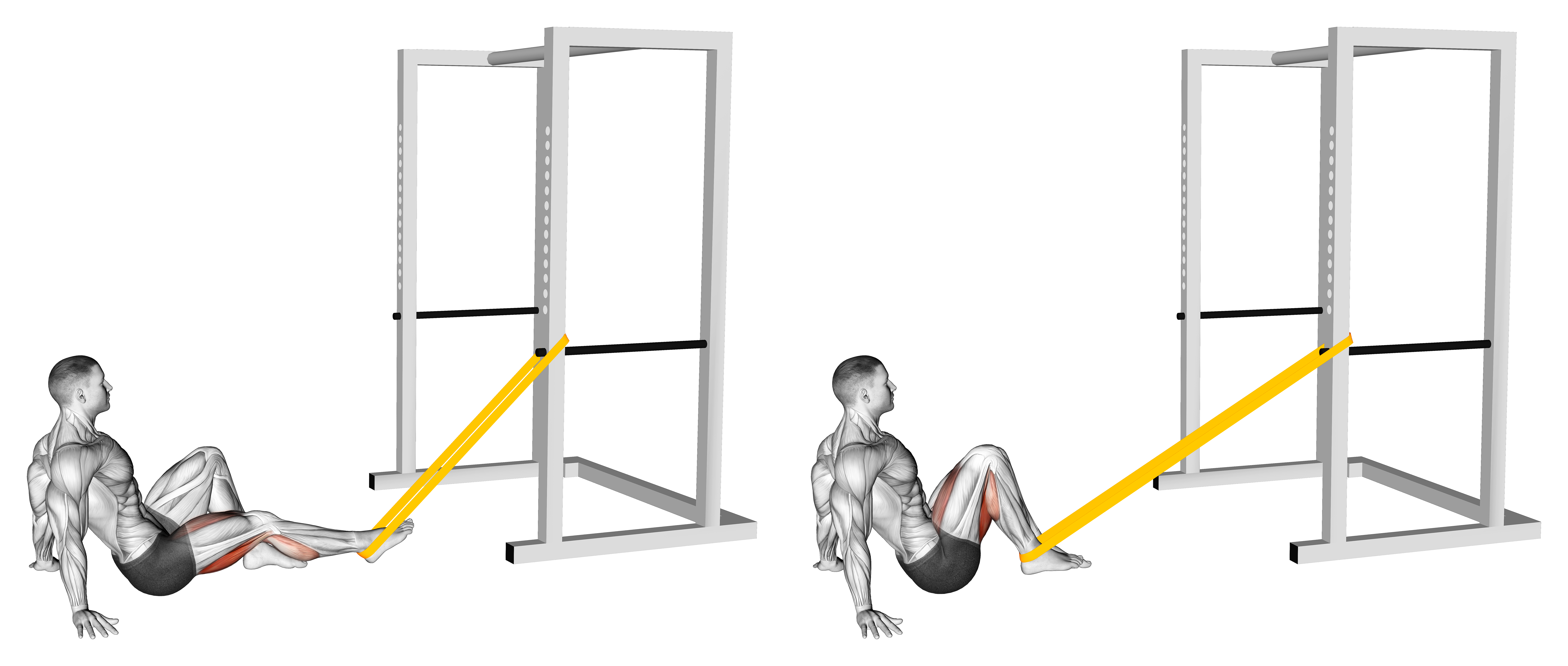 Resistance Band Seated Single Leg Curl