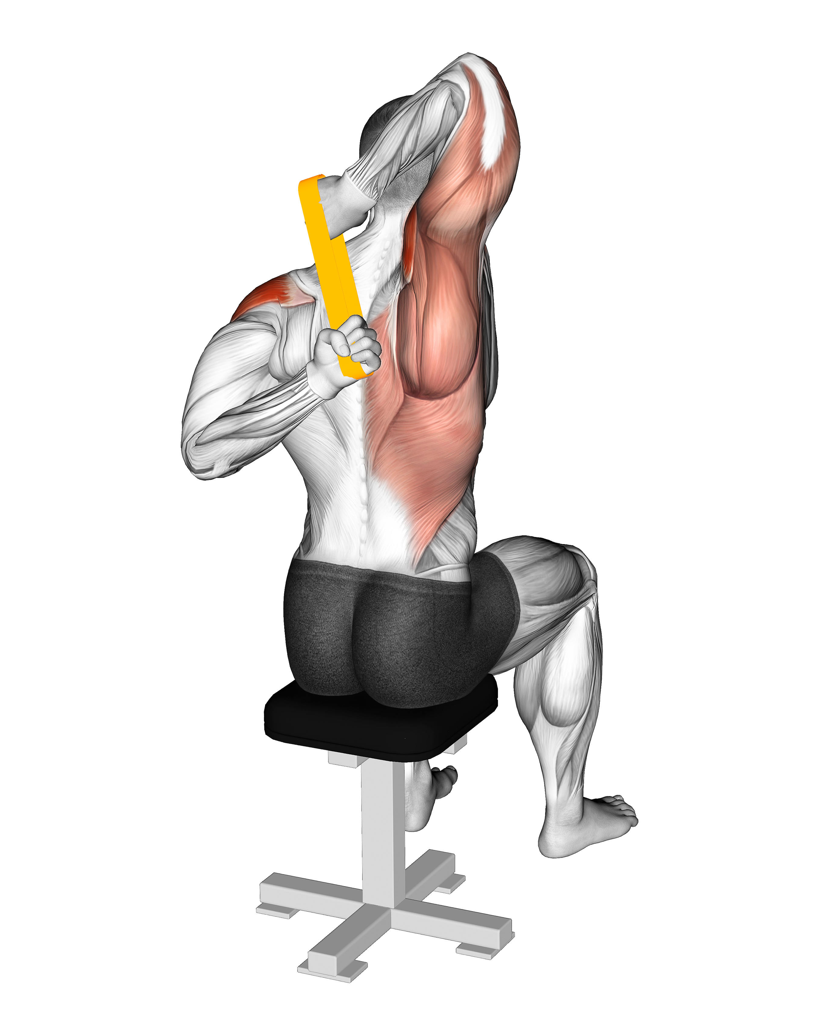 Resistance Band Shoulder Stretch Behind The Back