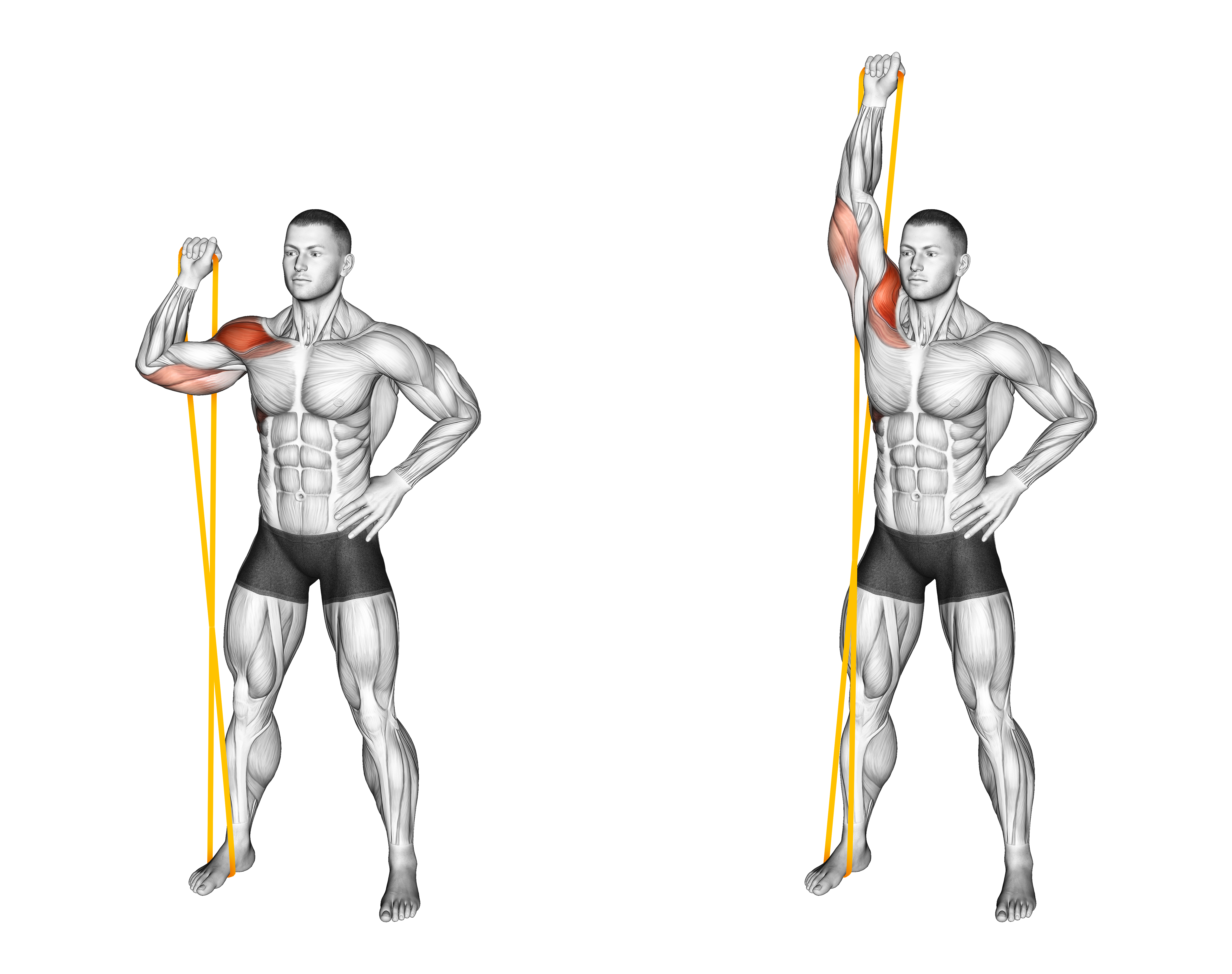 Resistance Band Single Arm Overhead Shoulder Press