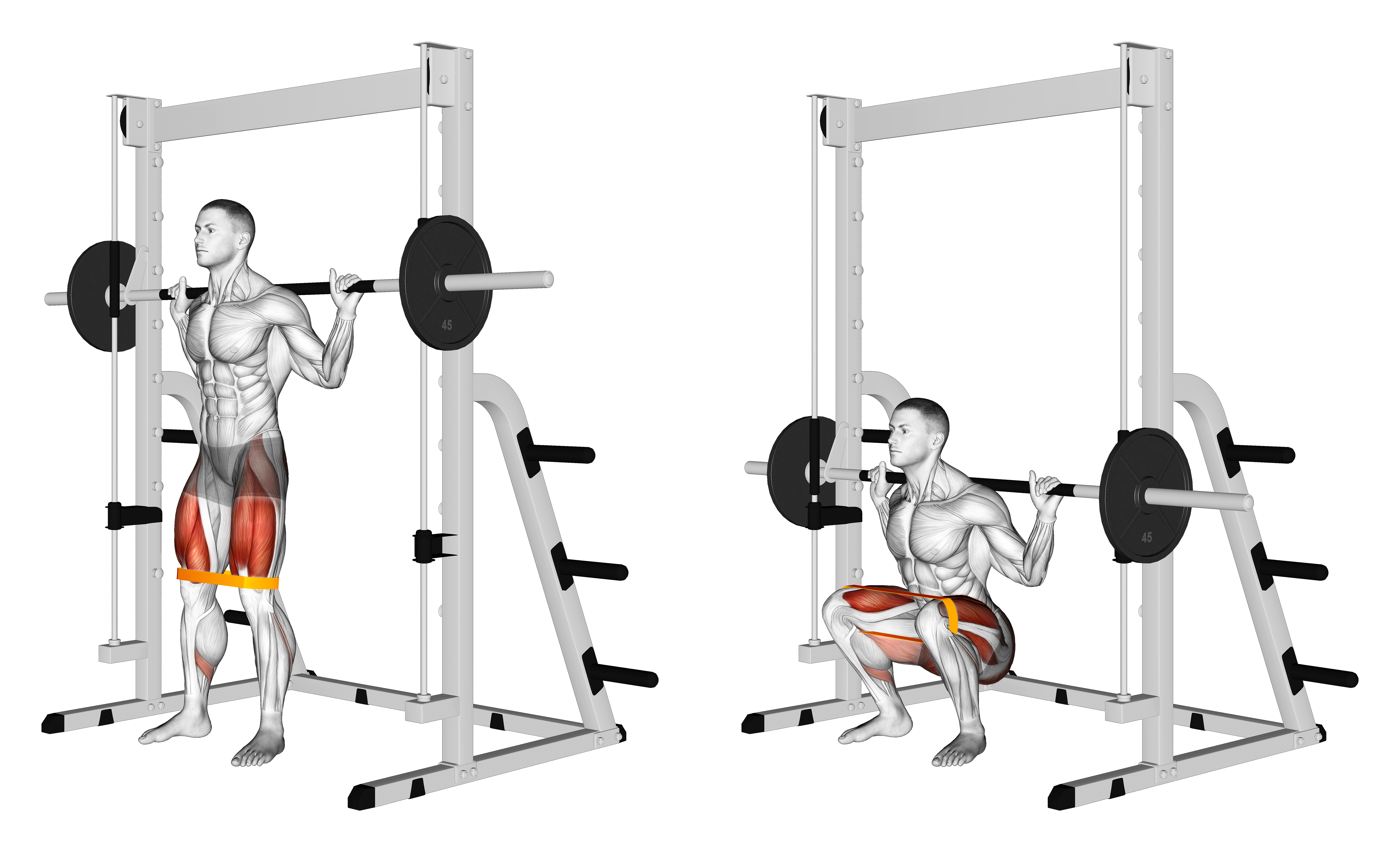 Resistance Band Smith Squat