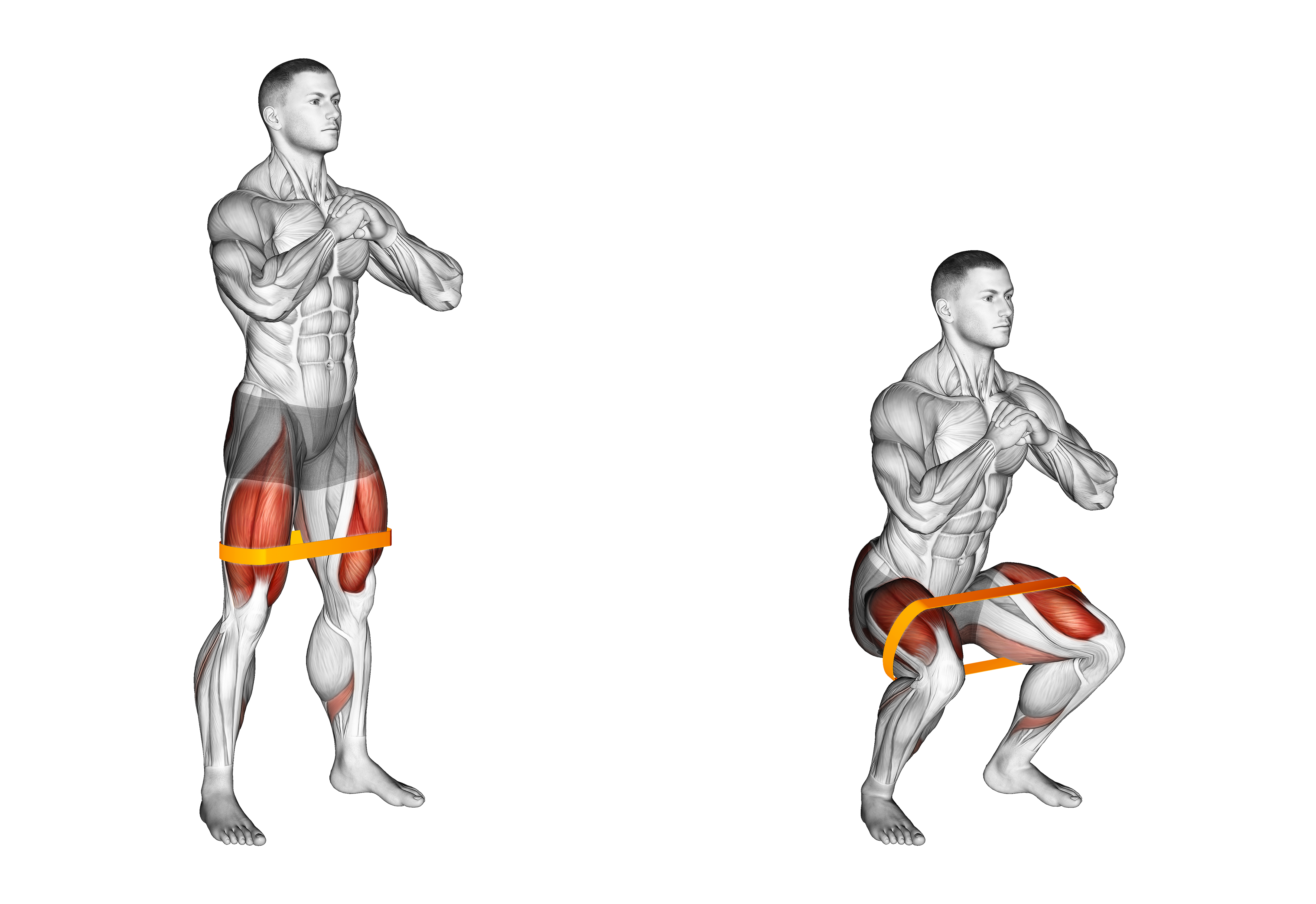 Resistance Band Squat