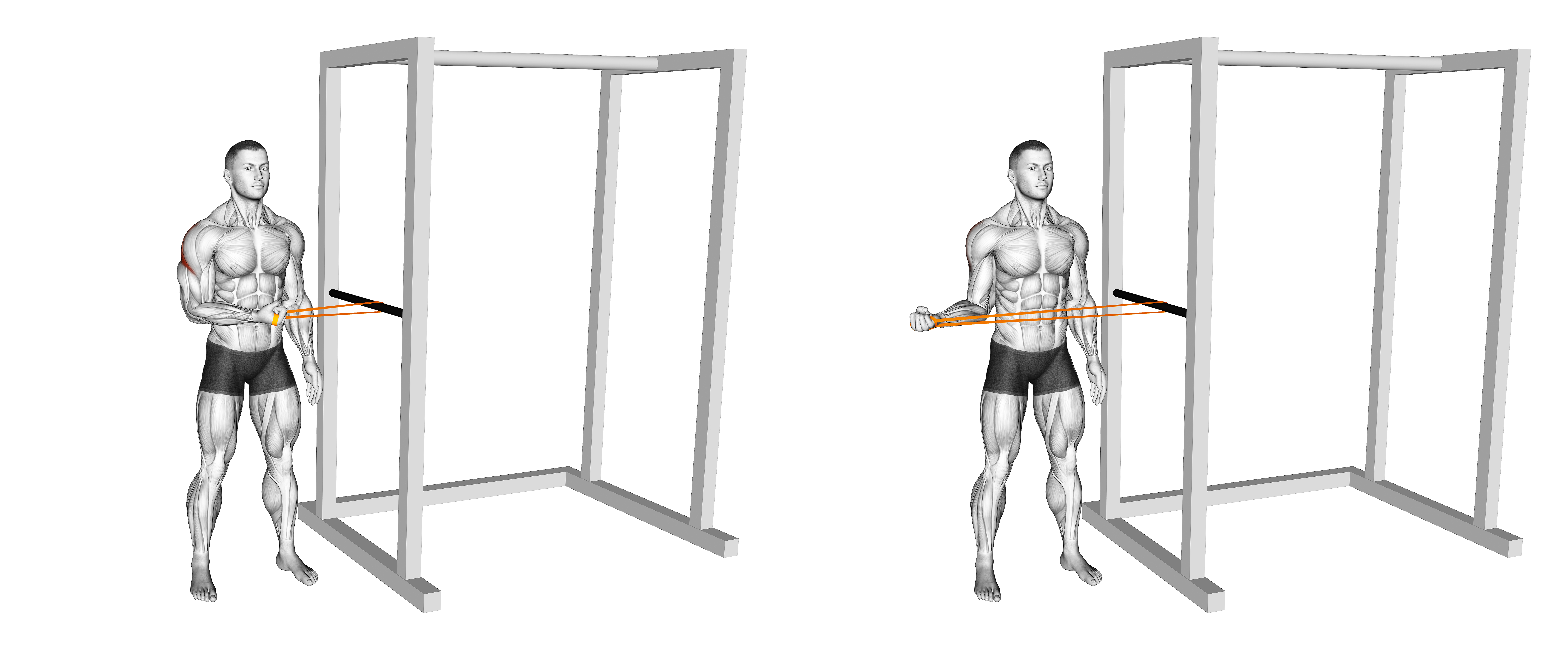 Resistance Band Standing Shoulder Extrernal Rotation