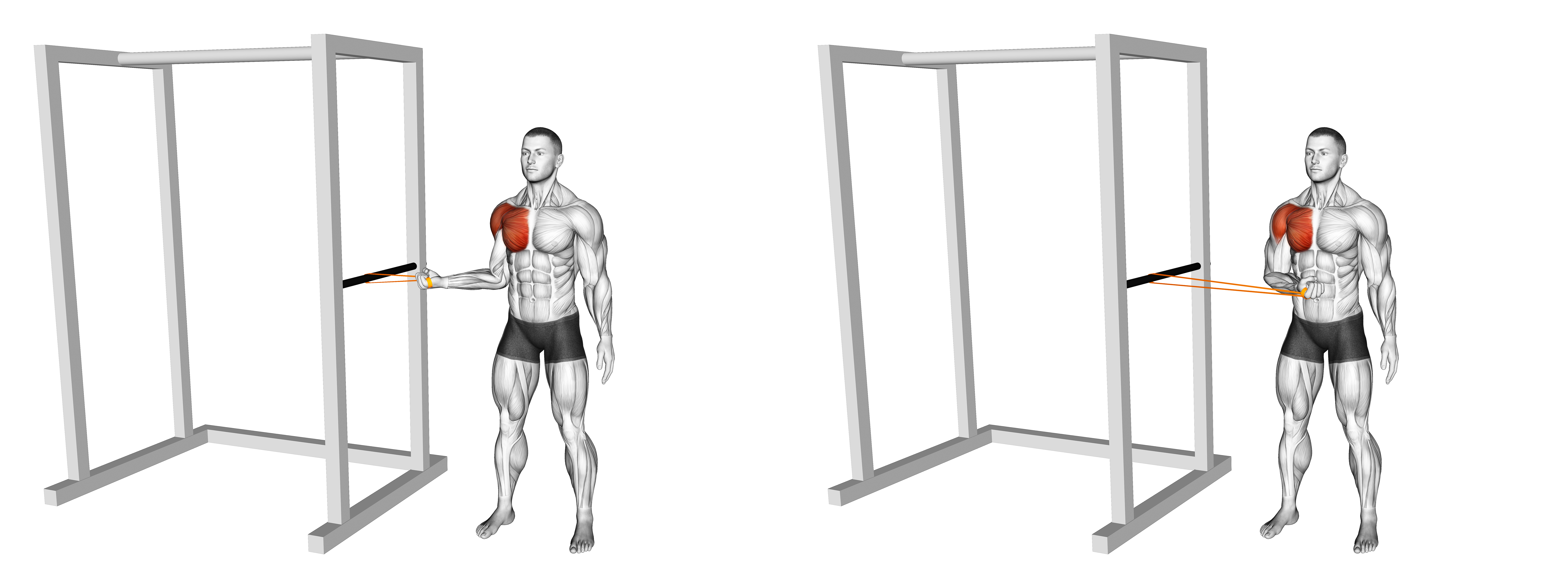 Resistance Band Standing Shoulder Internal Rotation