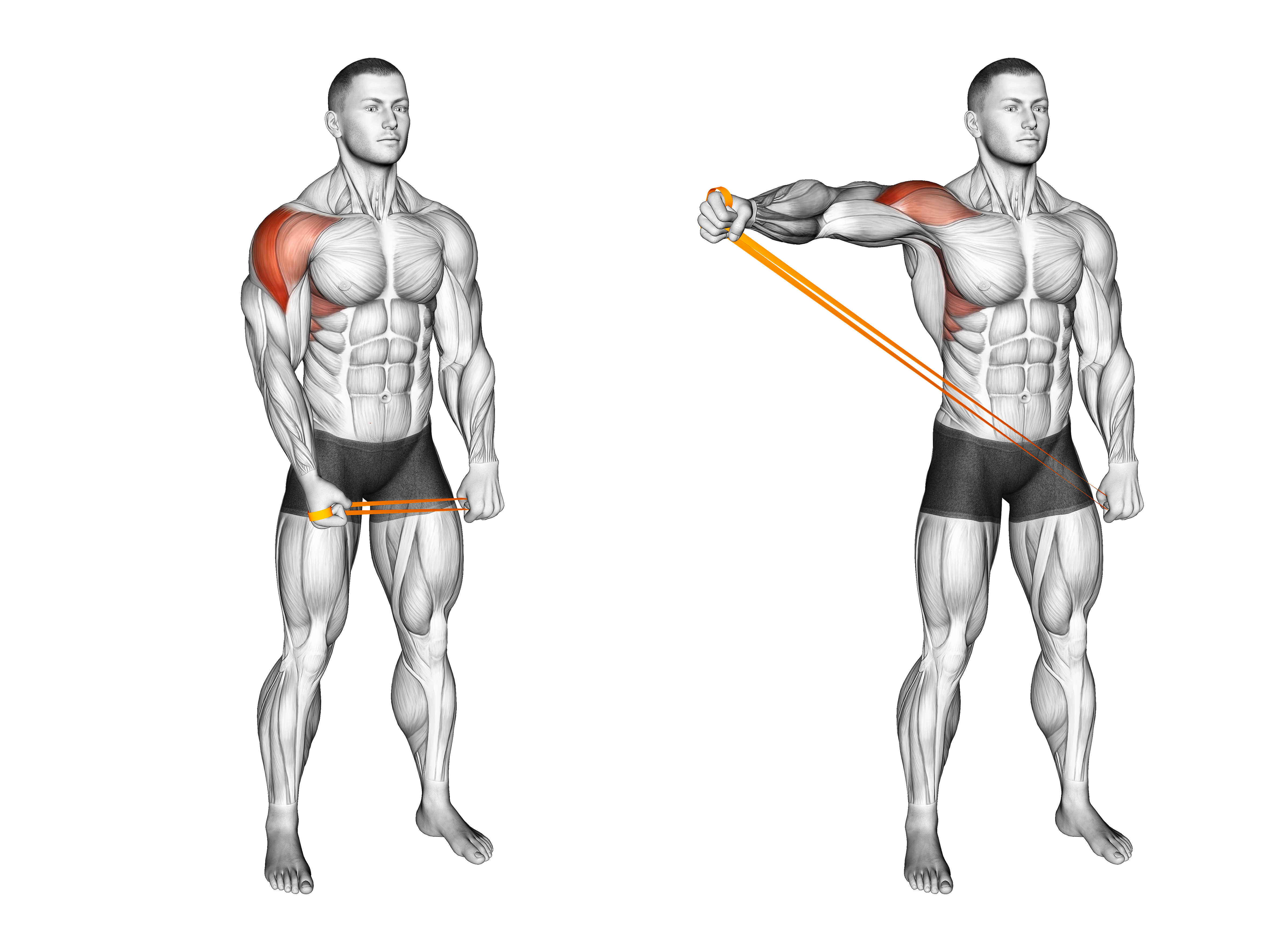 Resistance Band Standing Single Arm Lateral Raise