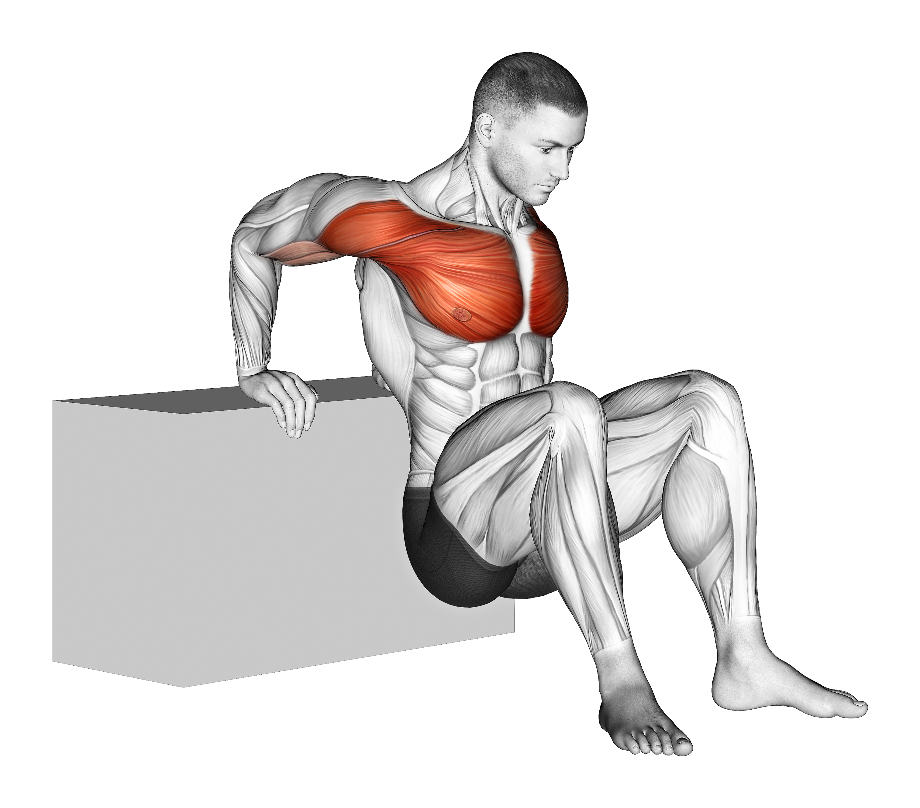 Reverse Chest Stretch