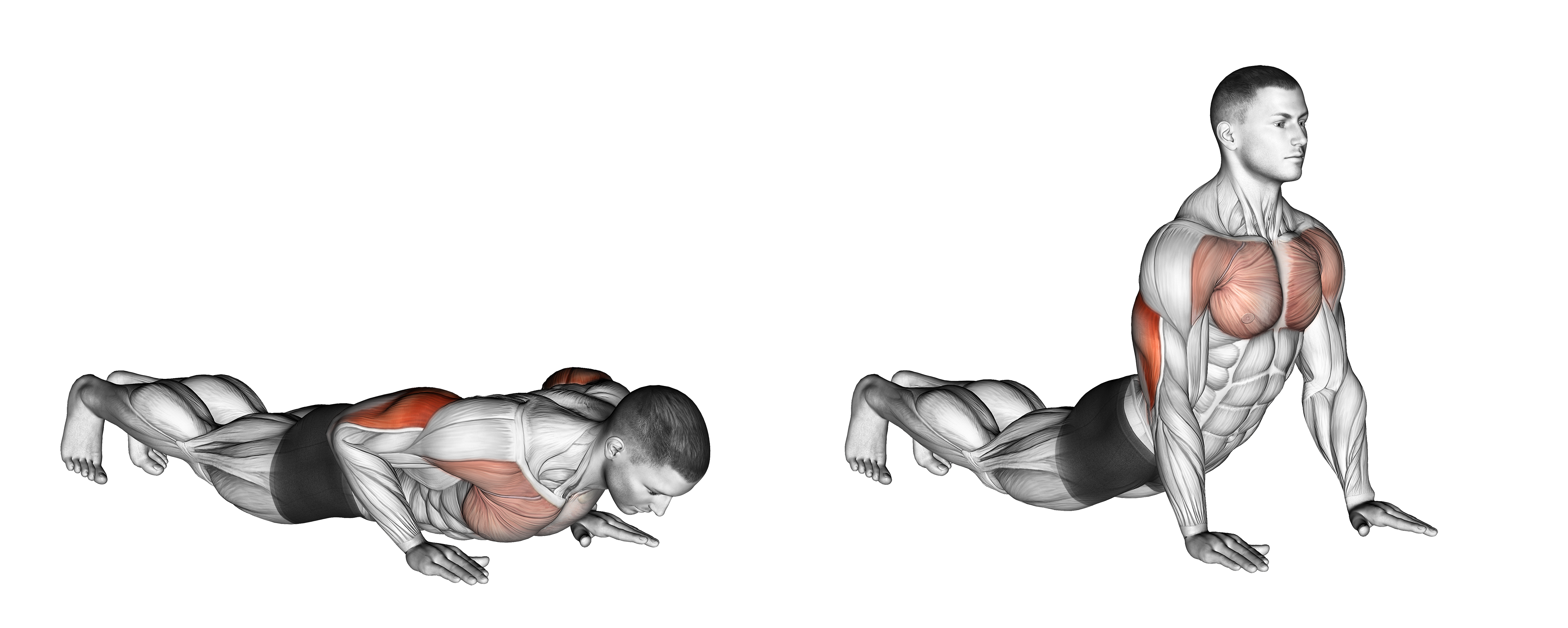 Reverse Dip