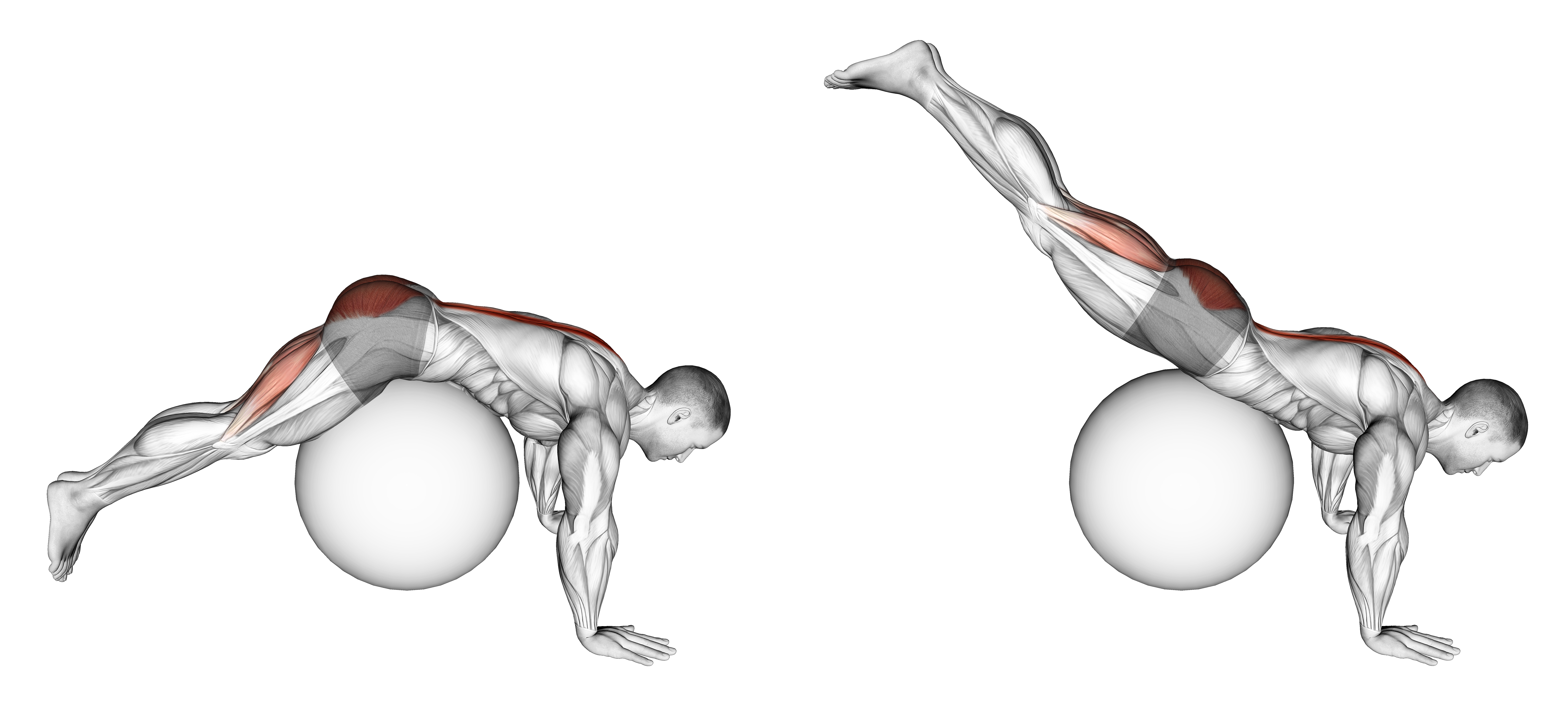 Reverse Hyperextension On Stability Ball