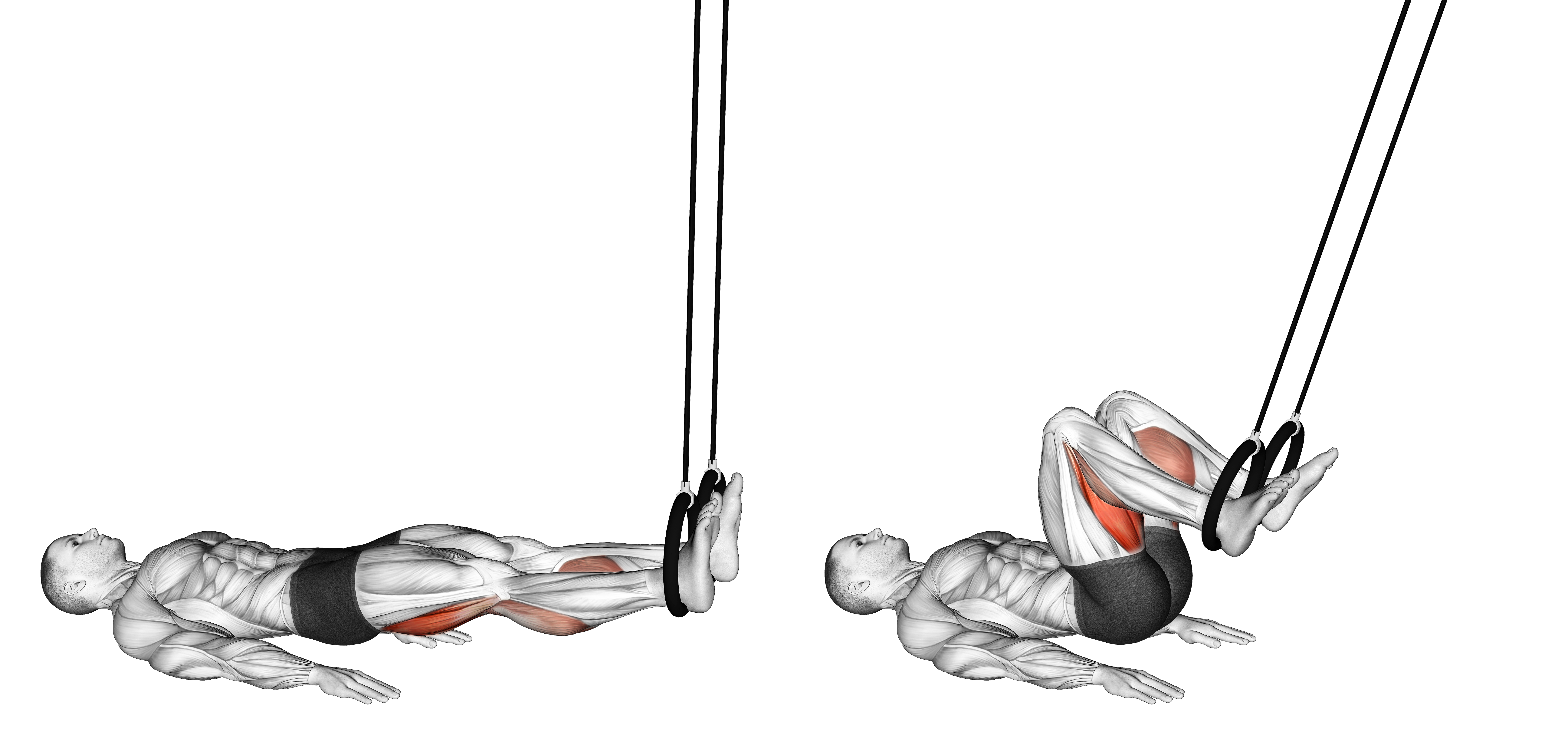 Ring Leg Curl (version 2)