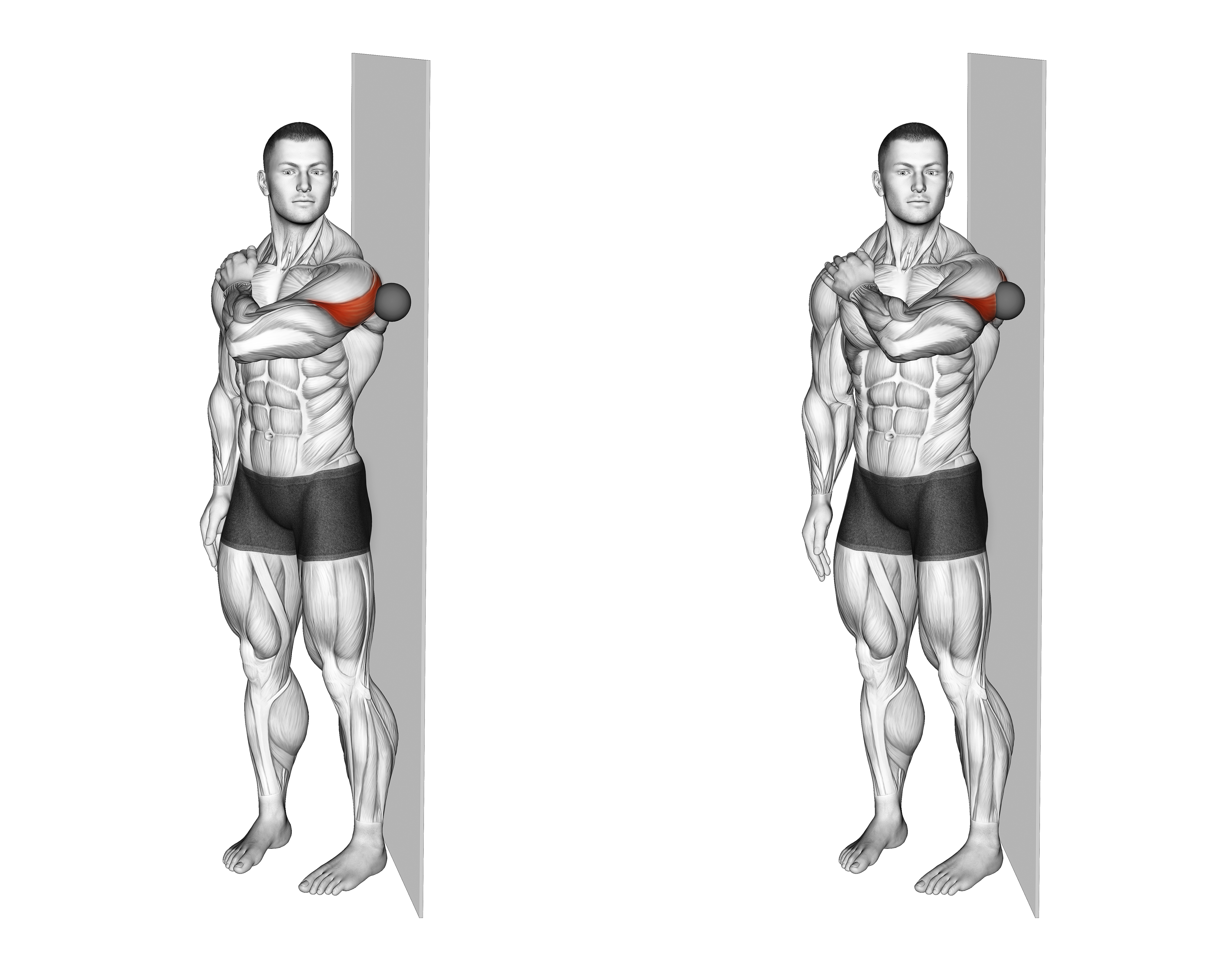 Roll Ball Deltoid Posterior