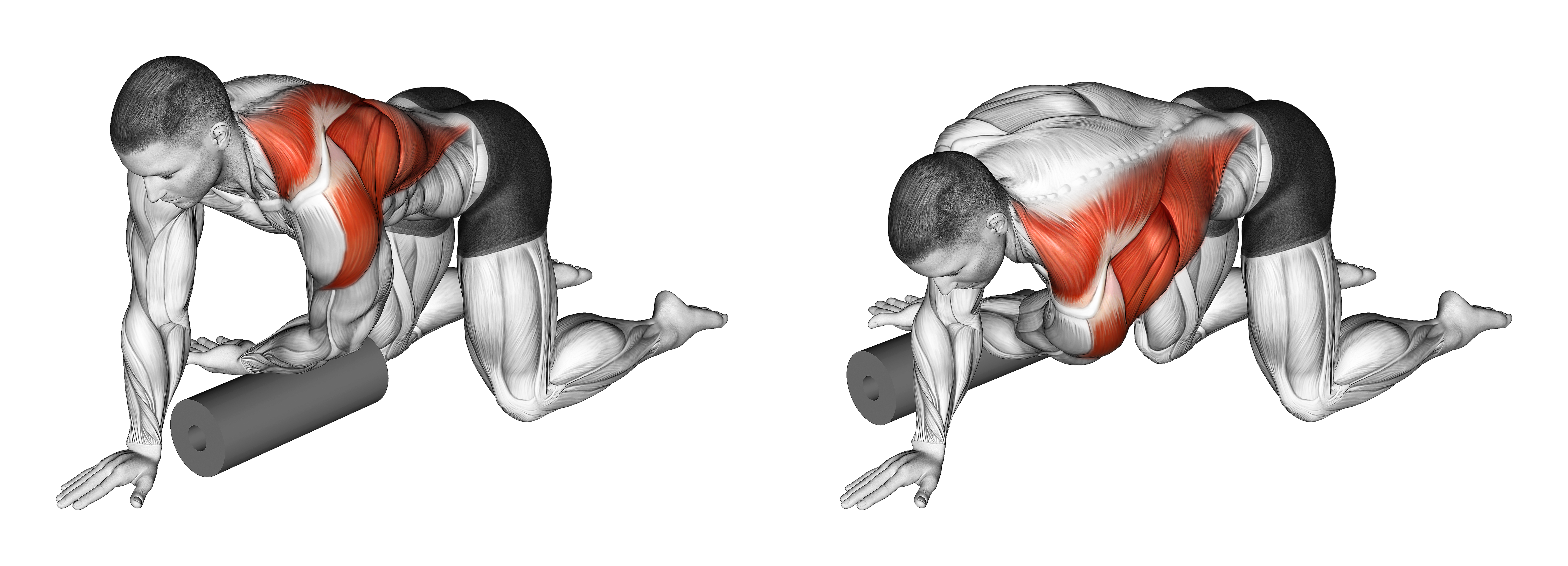 Roll Kneeling Upper Back Rotation