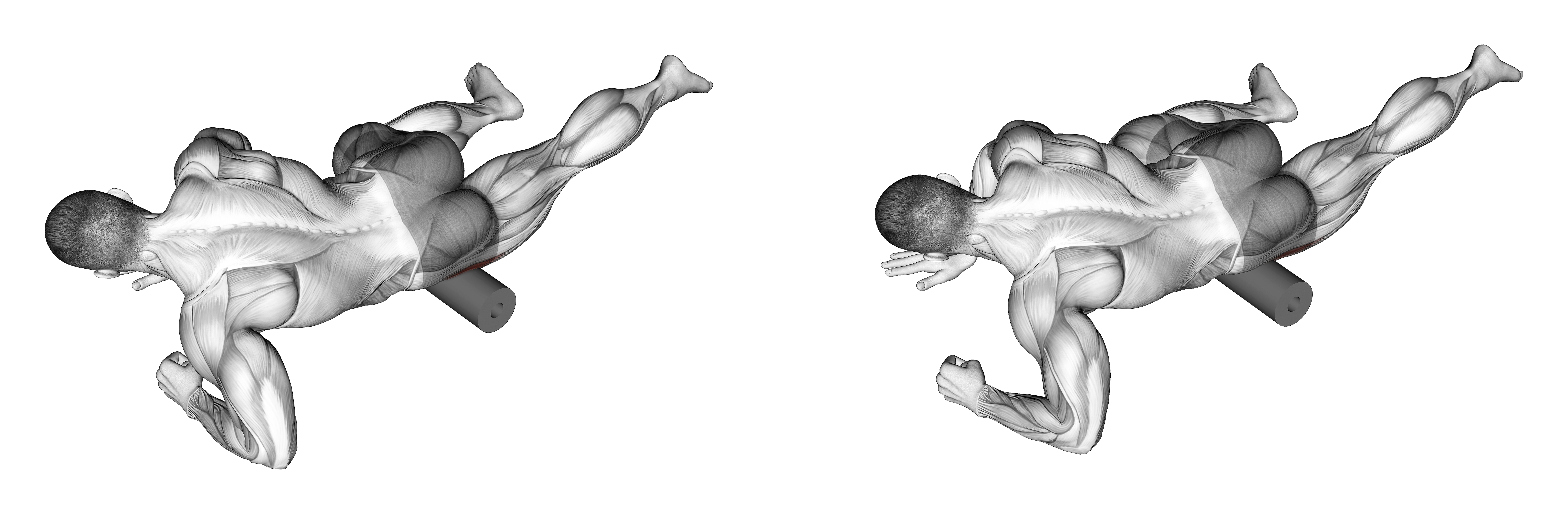 Roll Tensor Fasciae Latae