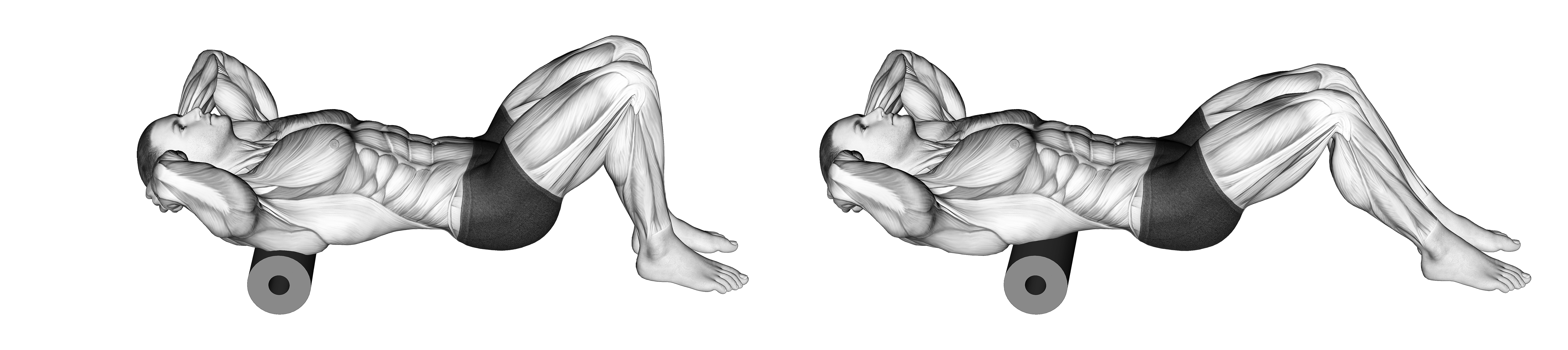 Roll Upper Back