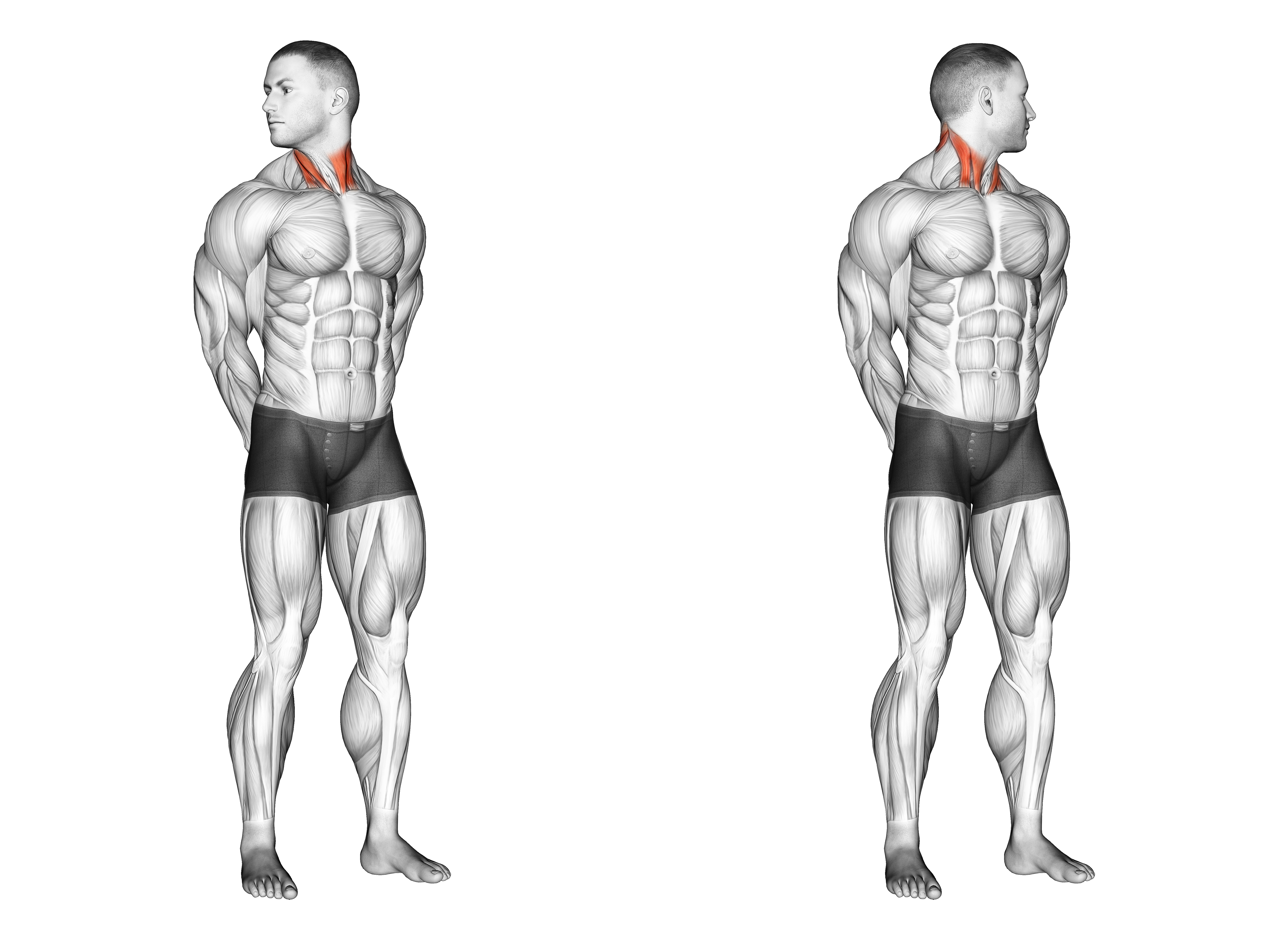 Rotating Neck Stretch