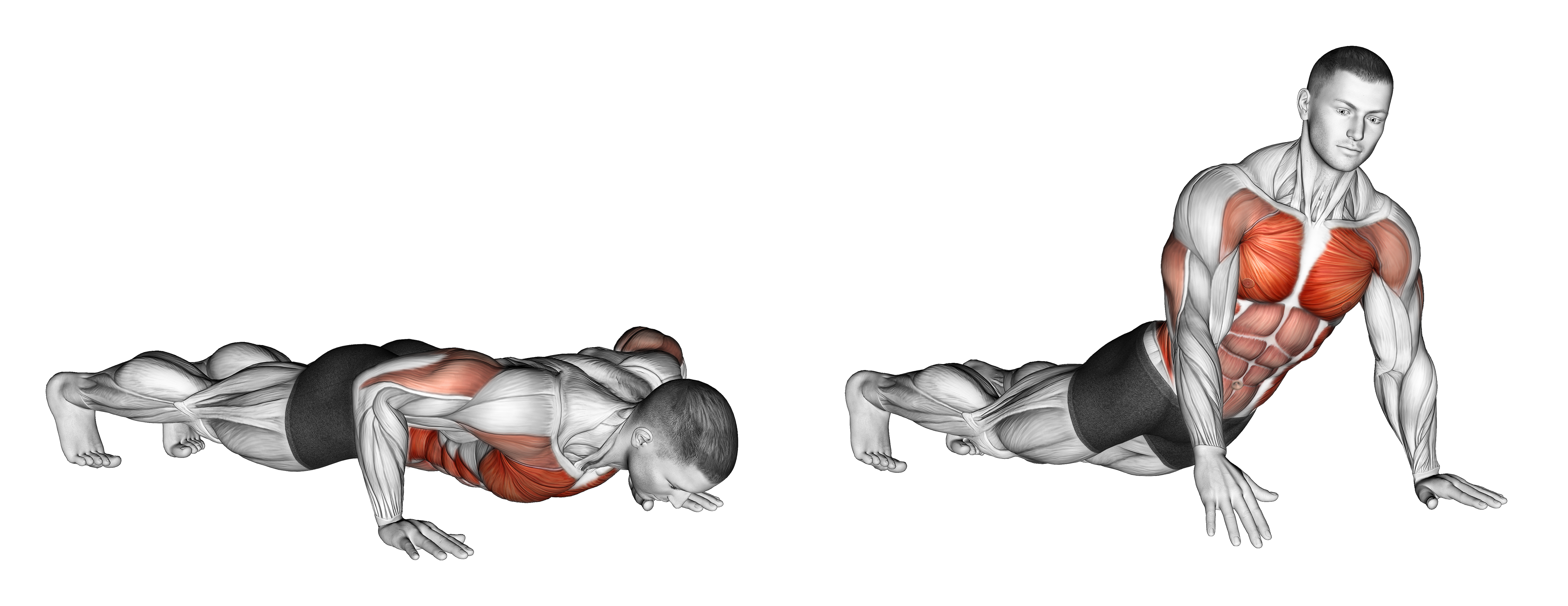 Rotational Push Up
