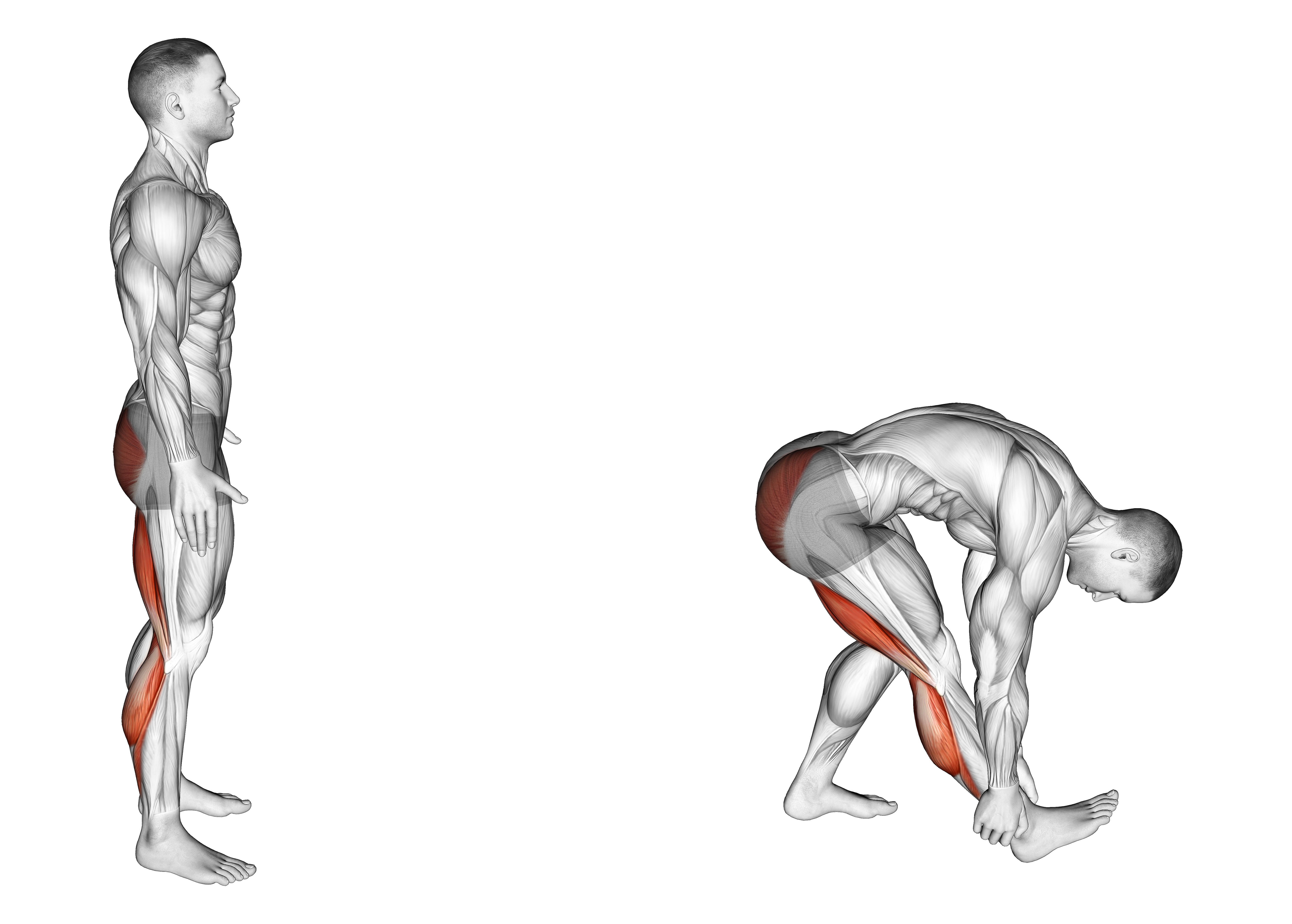 Runners Stretch