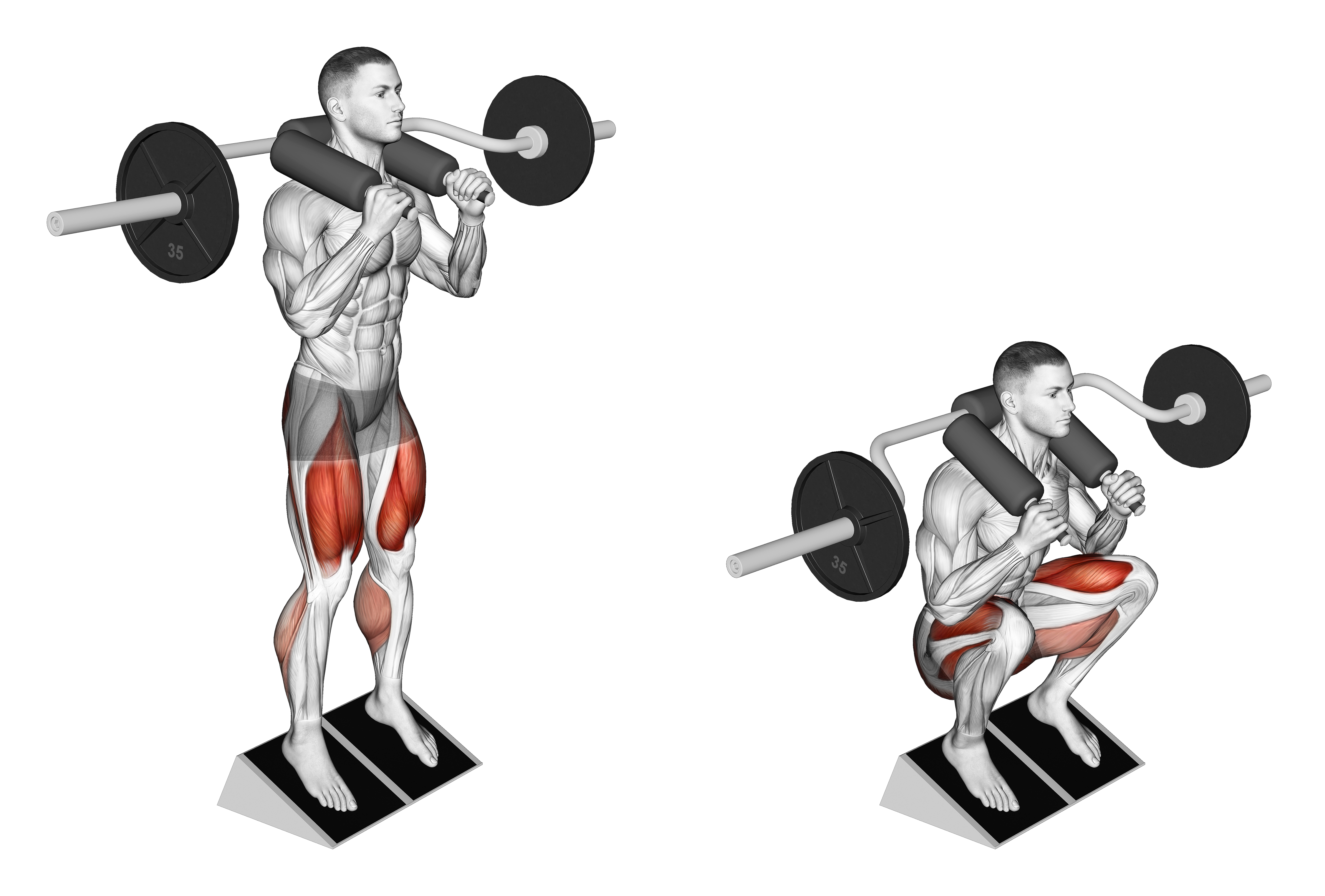 Safety Bar Elevated Heel Squat
