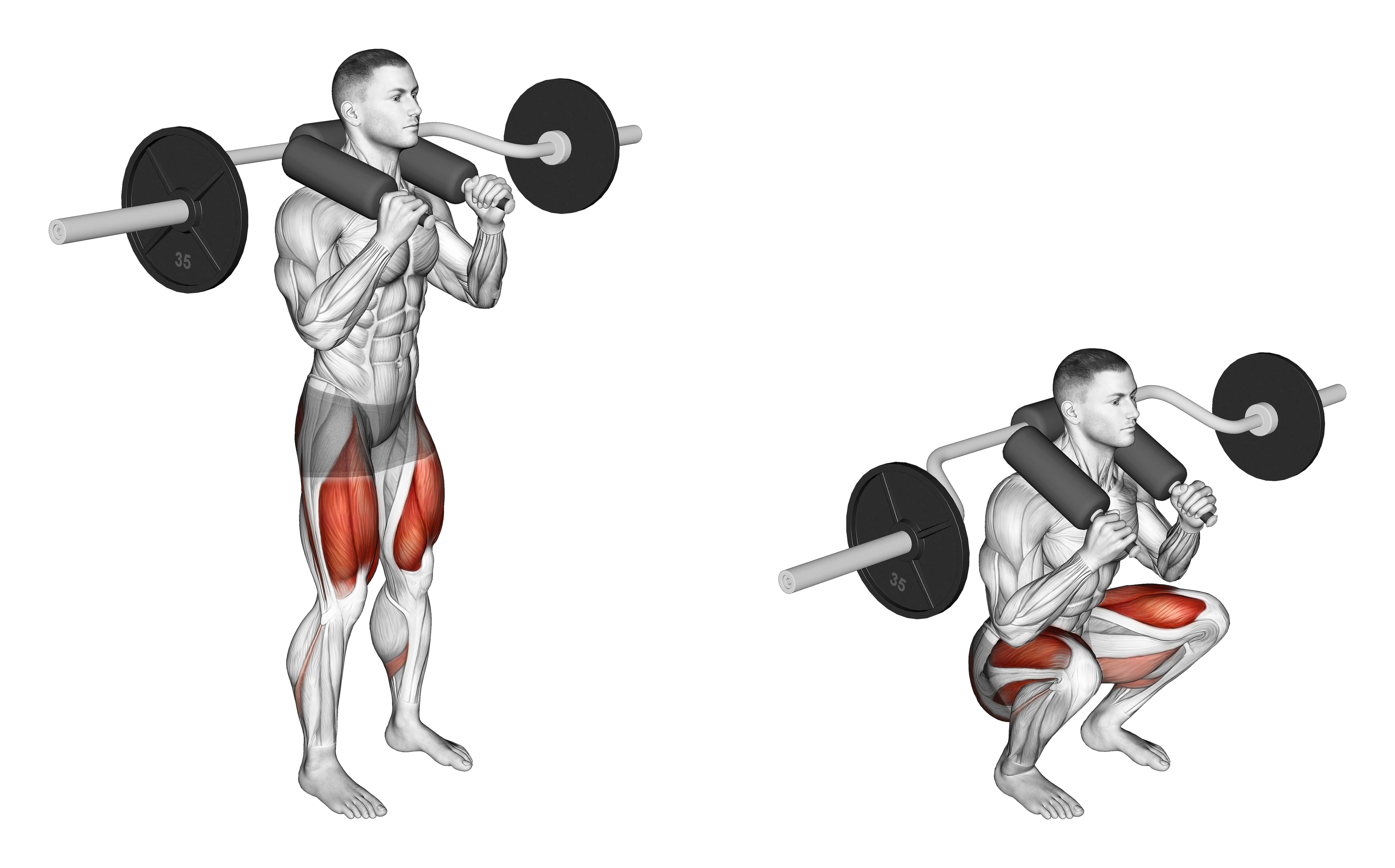 Safety Bar Front Squat