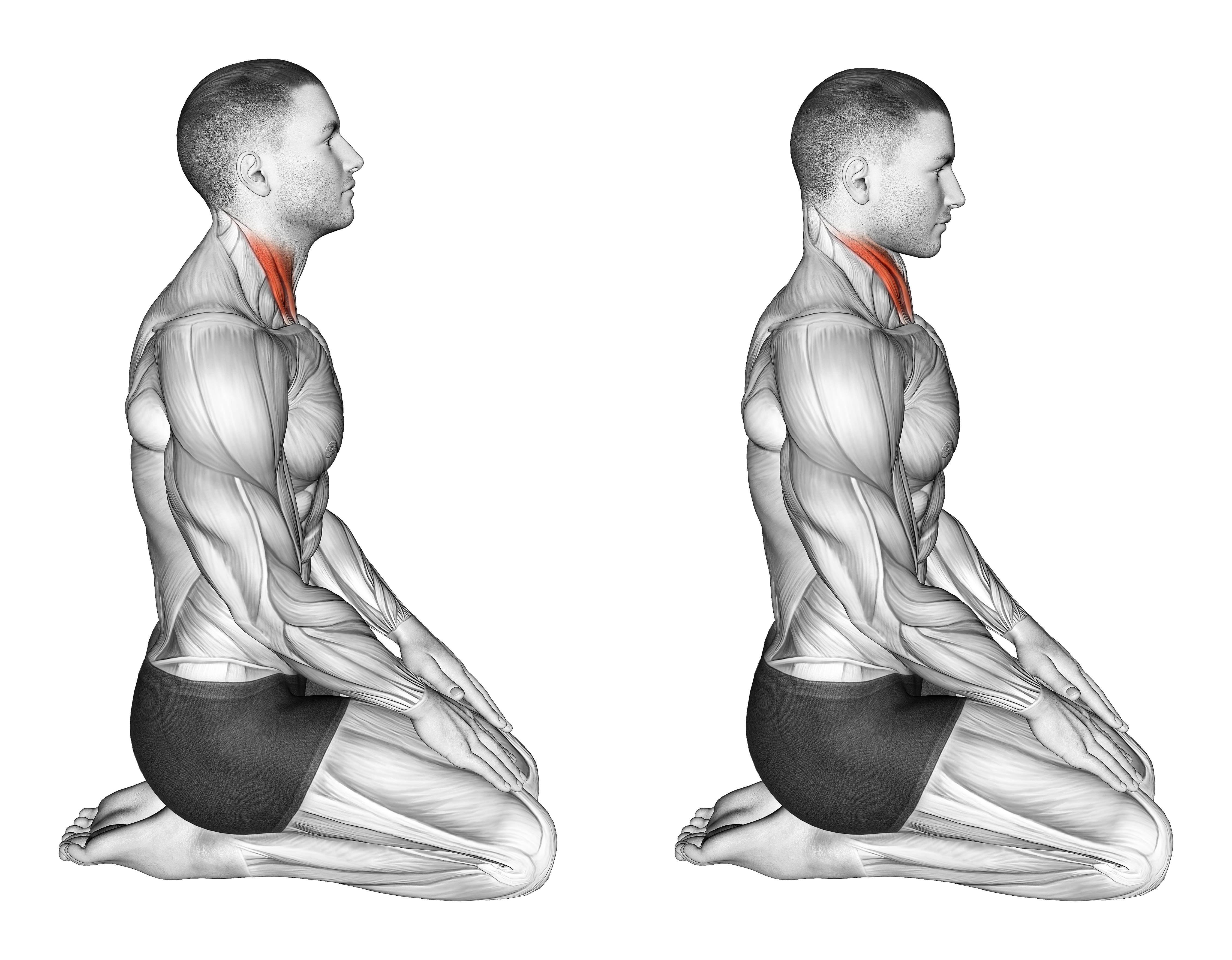 Seated Chin Tuck