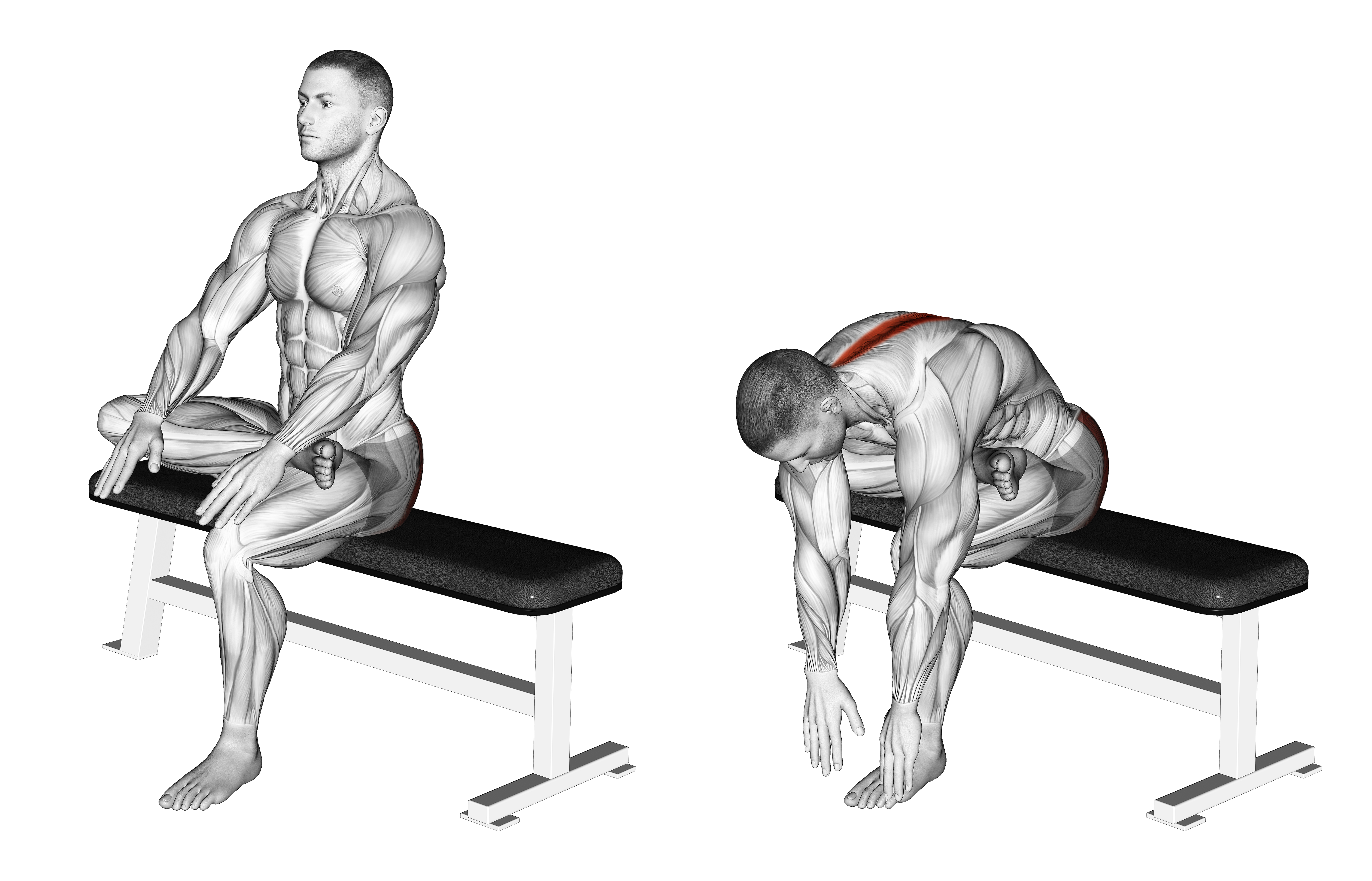 Seated Glute Stretch Version 2