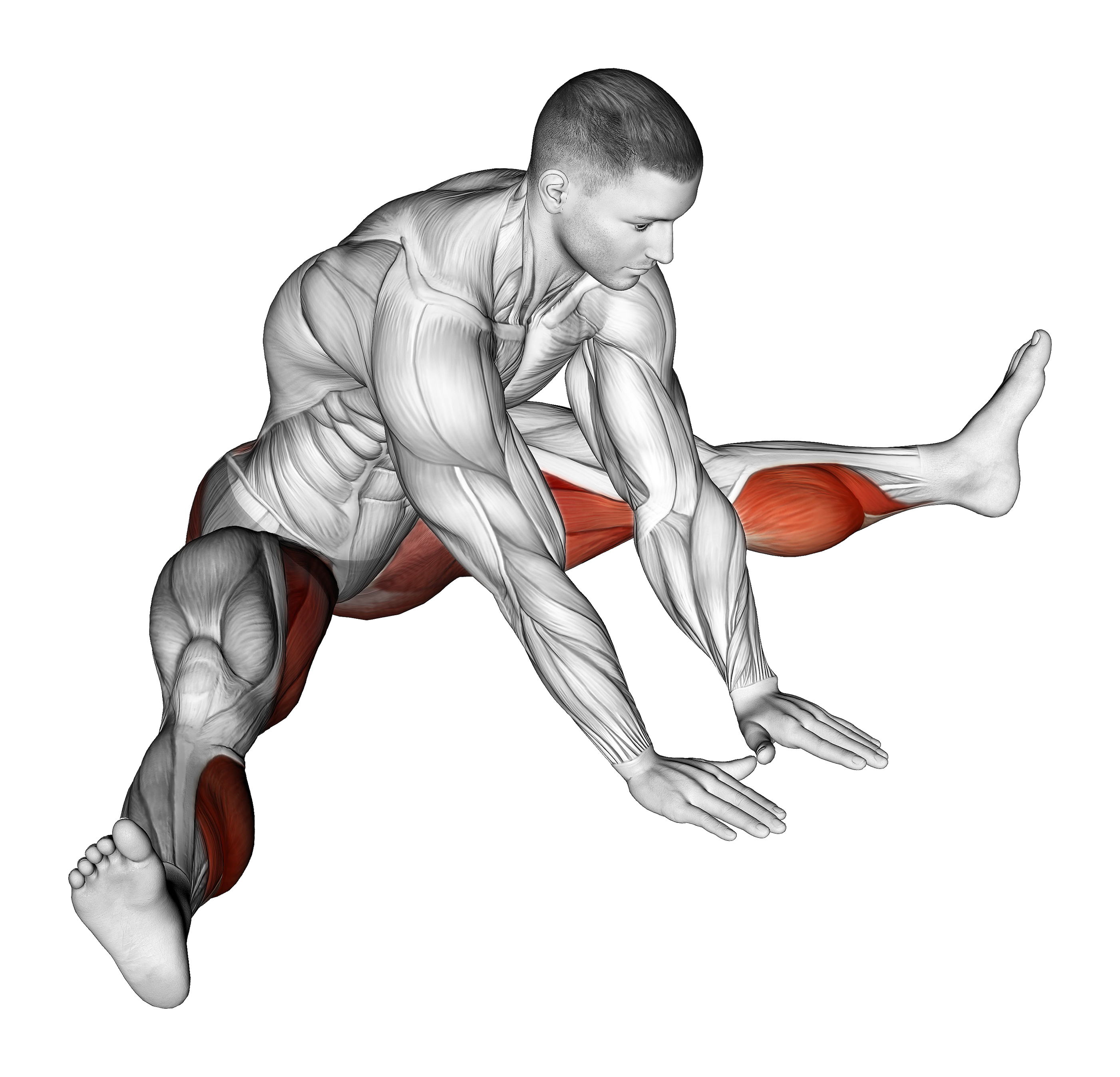 Seated Knee Flexor And Hip Adductor Stretch