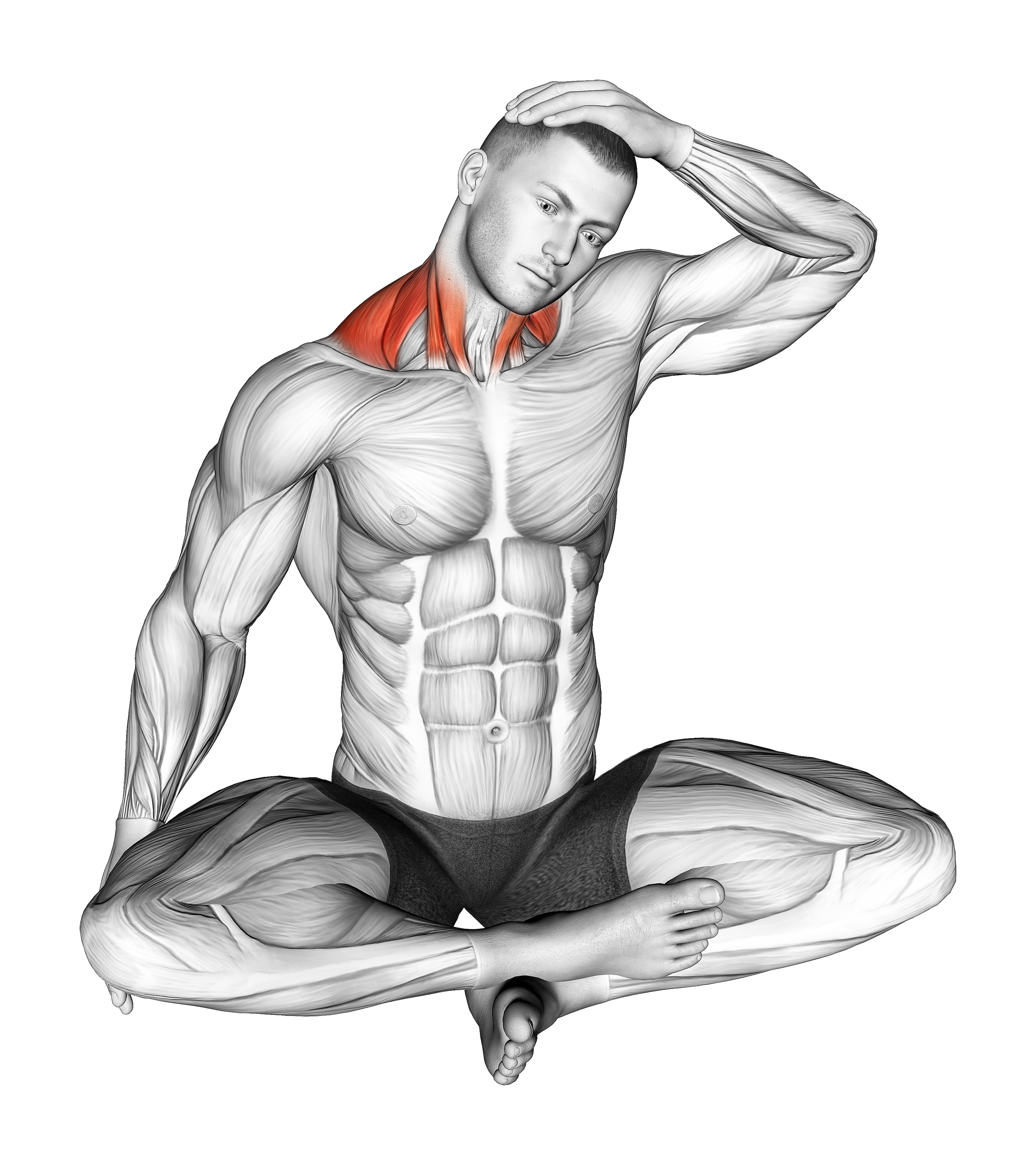 Seated Neck Side Stretch