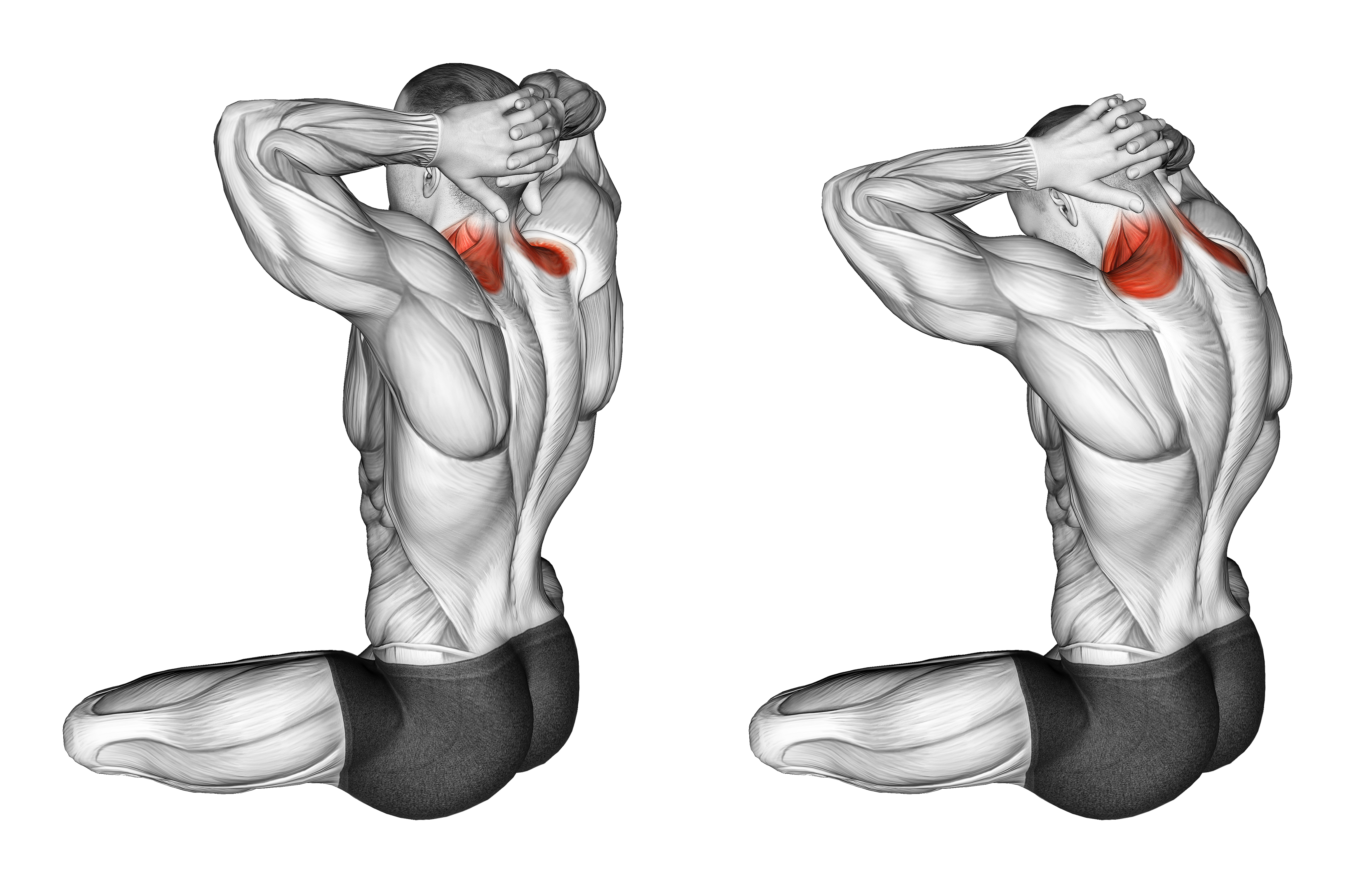 Seated Neck Stretch