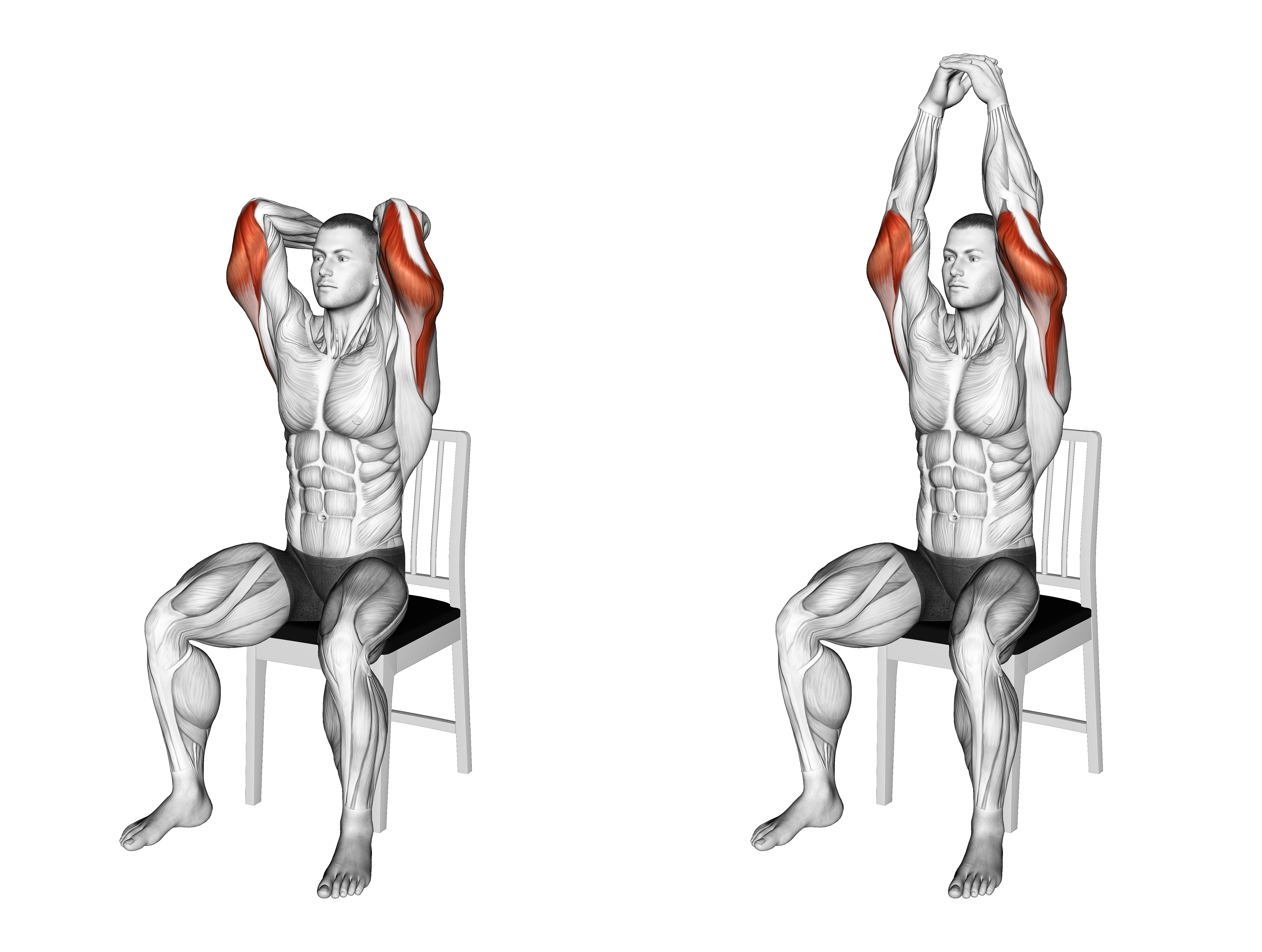 Seated Overhead Triceps Extension On A Chair