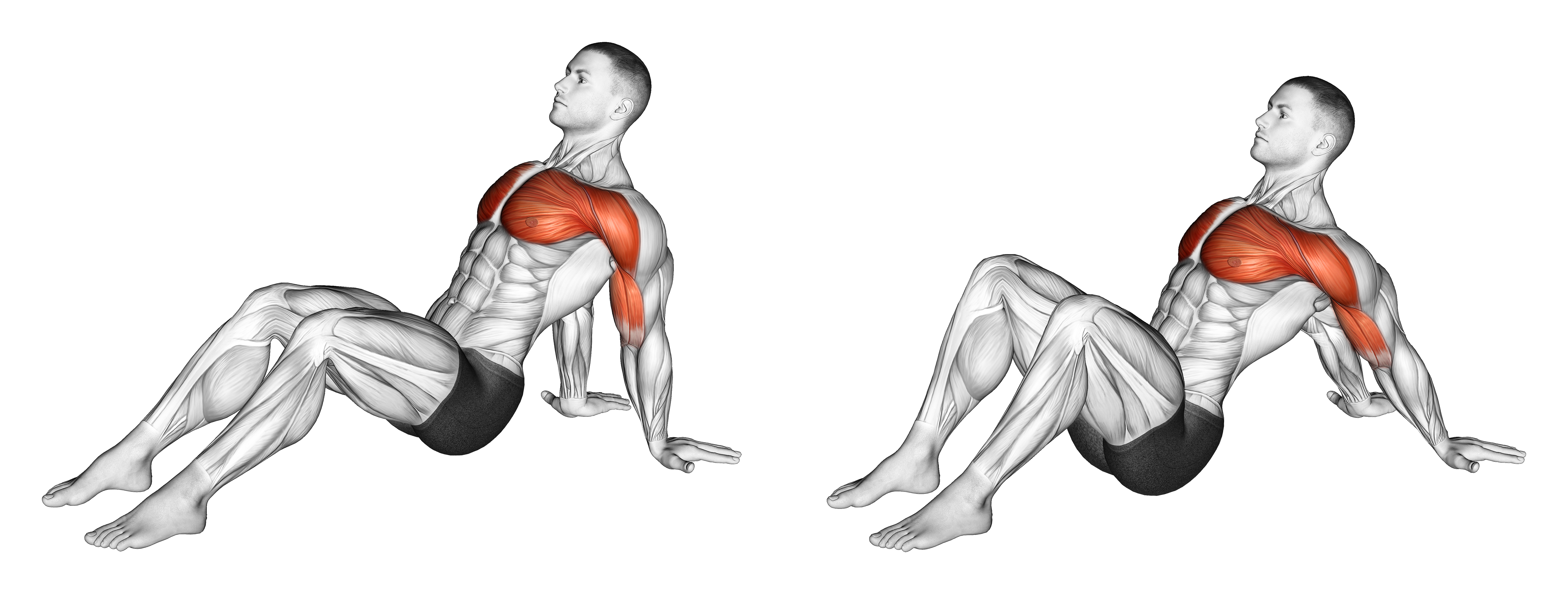 Seated Shoulder Flexor Depresor Retractor Stretch Bent Knee