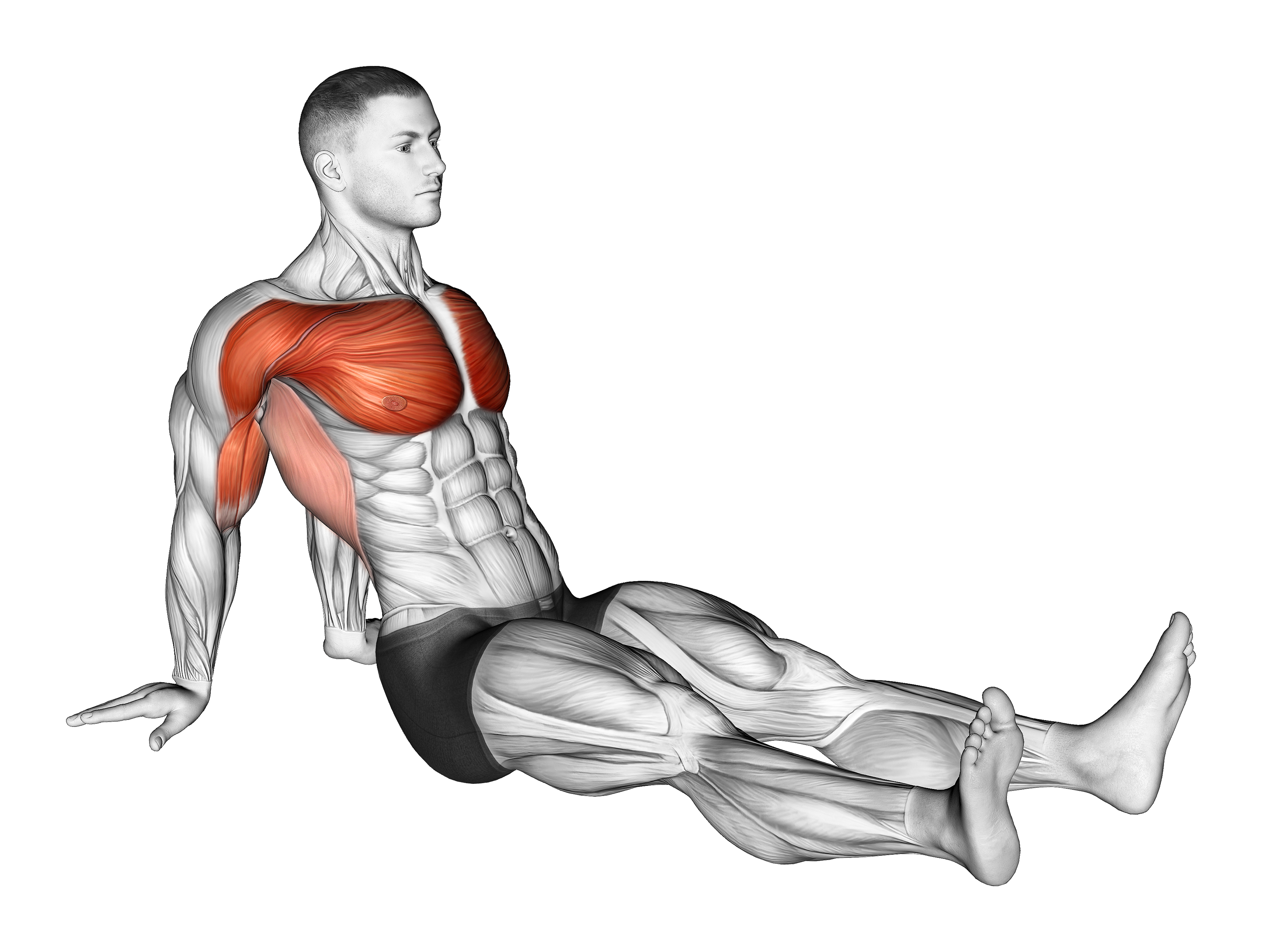 Seated Shoulder Flexor Depresor Retractor Stretch