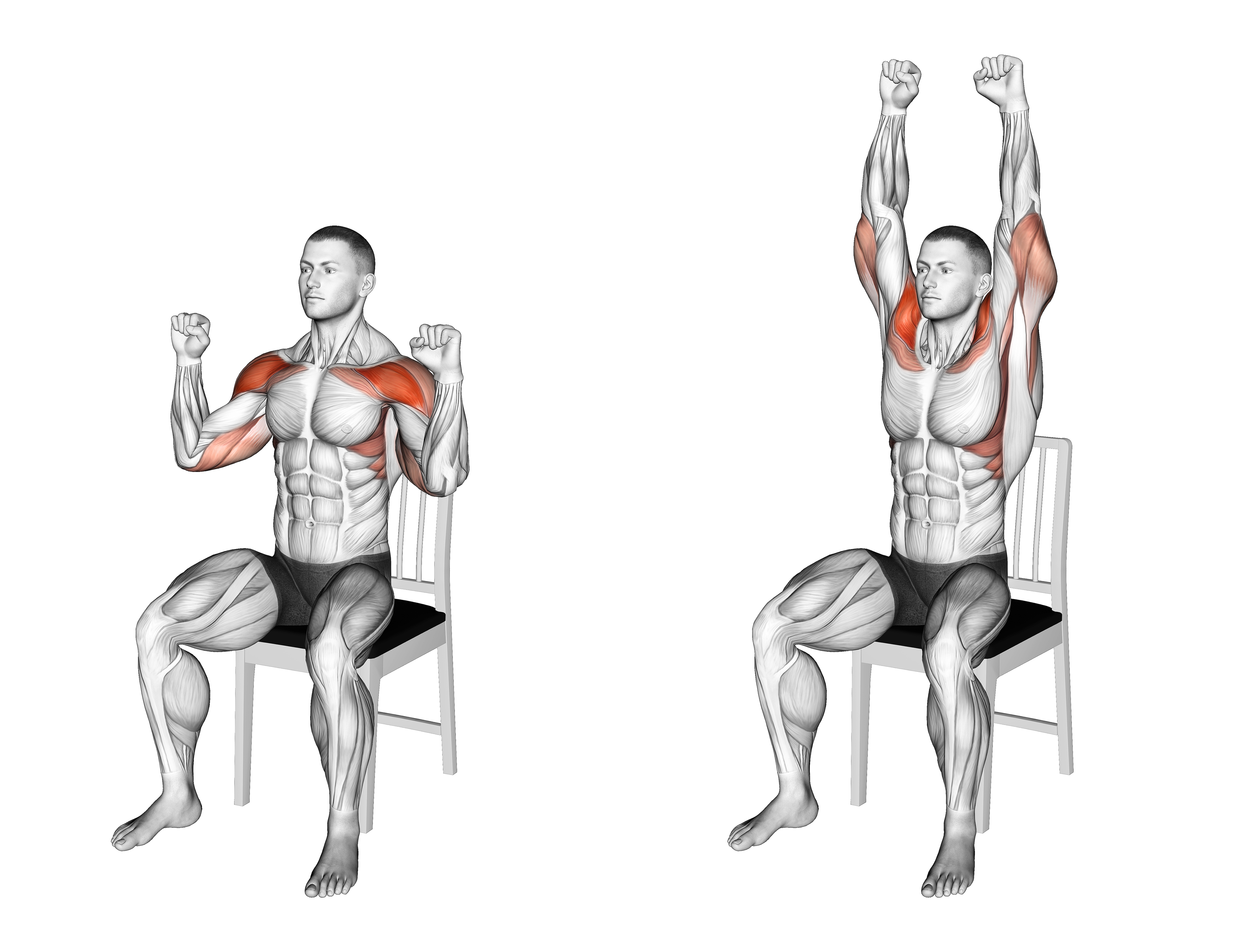 Seated Shoulder Press On A Chair