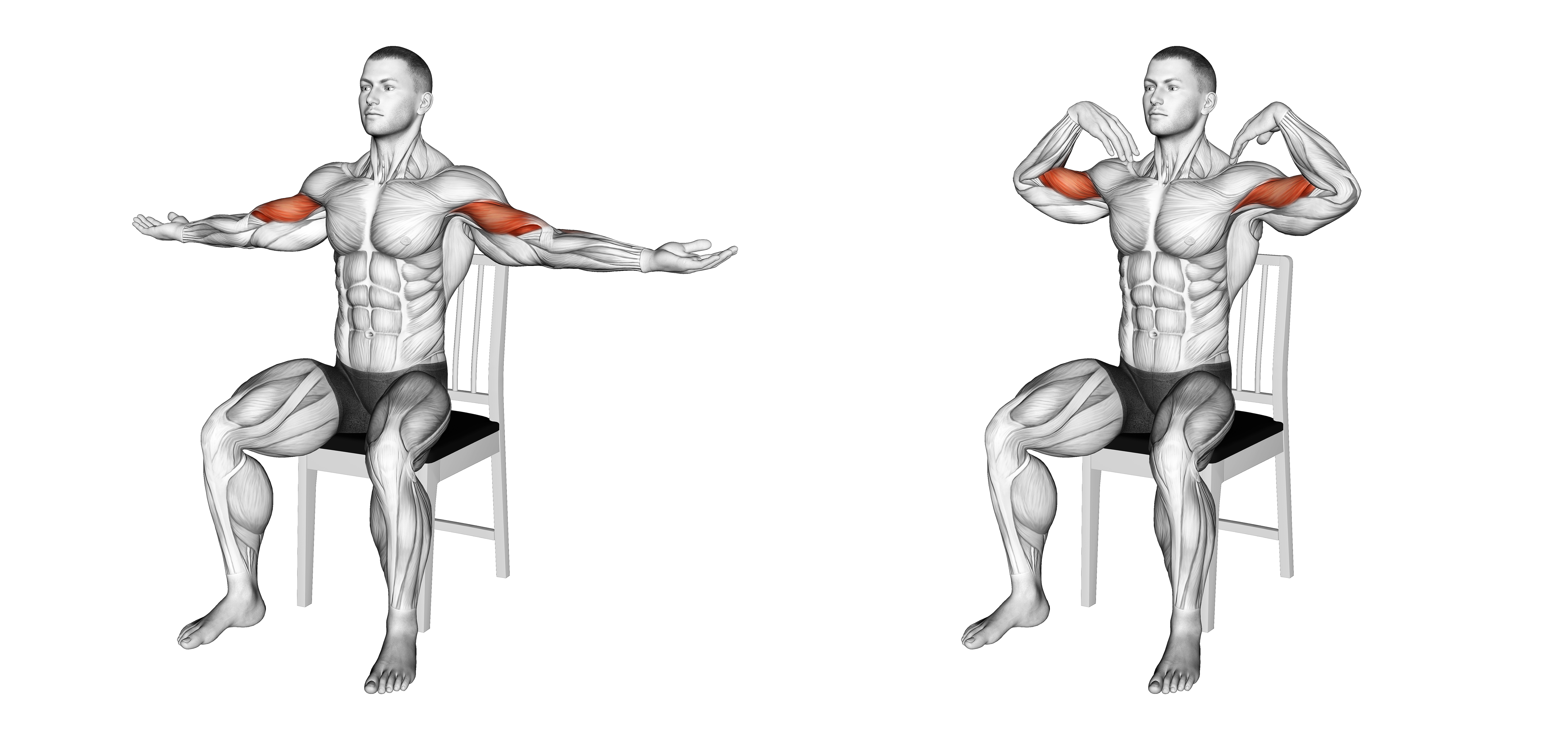 Seated Shoulder Tap On A Chair