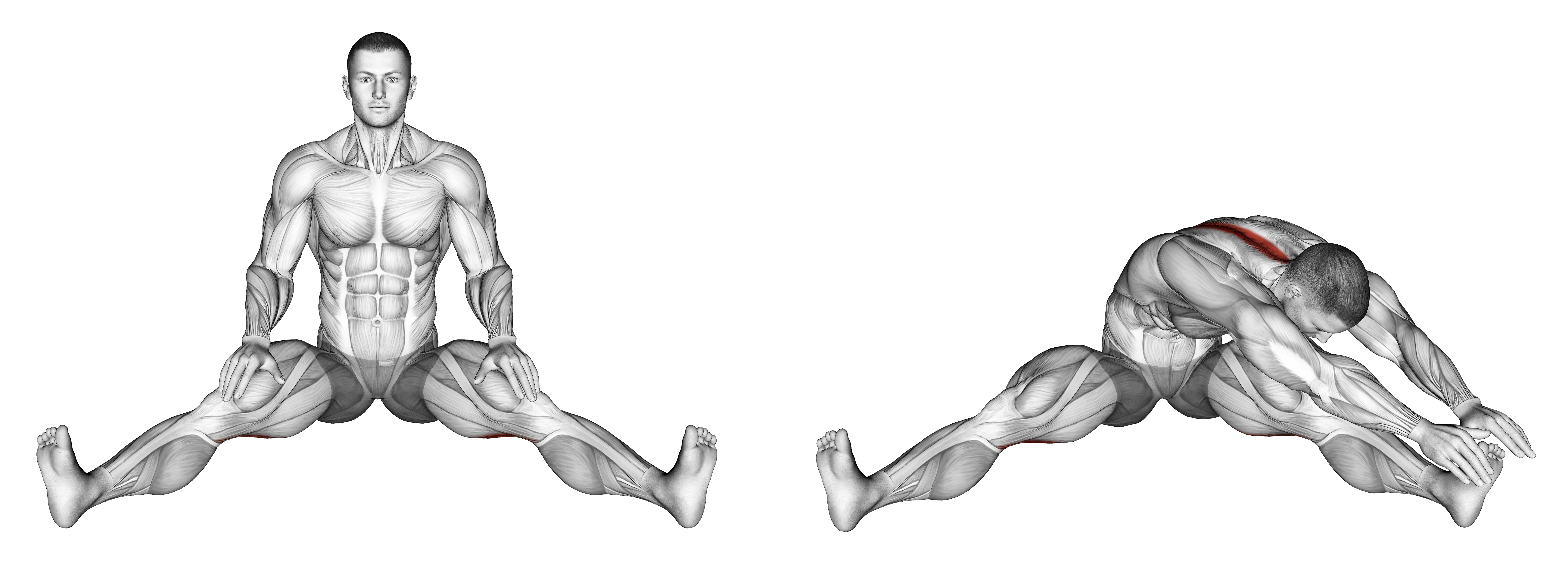 Seated Wide Angle Pose Sequence