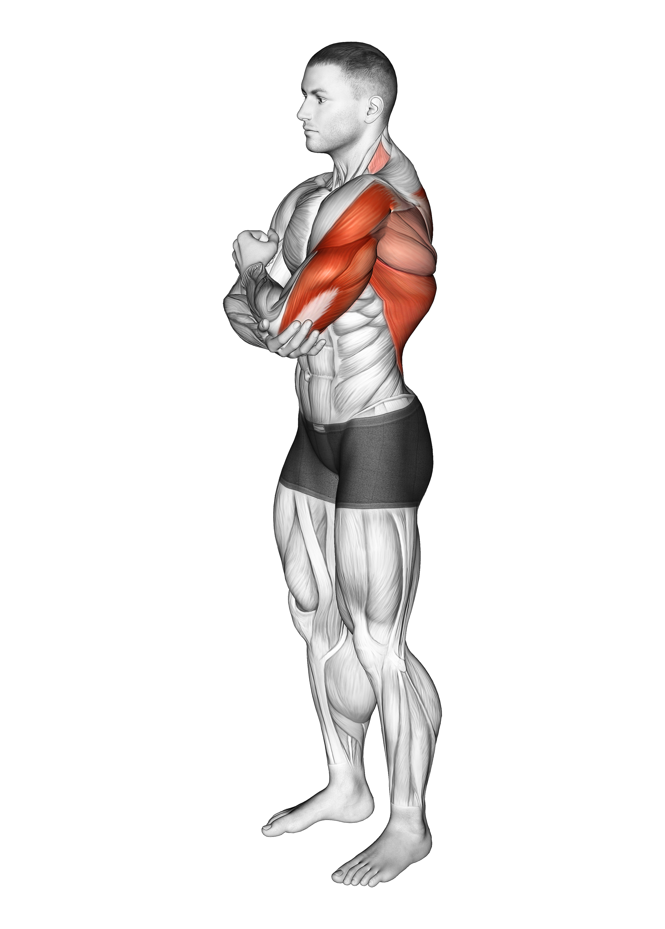 Shoulder Adductor Protractor And Elevator Stretch