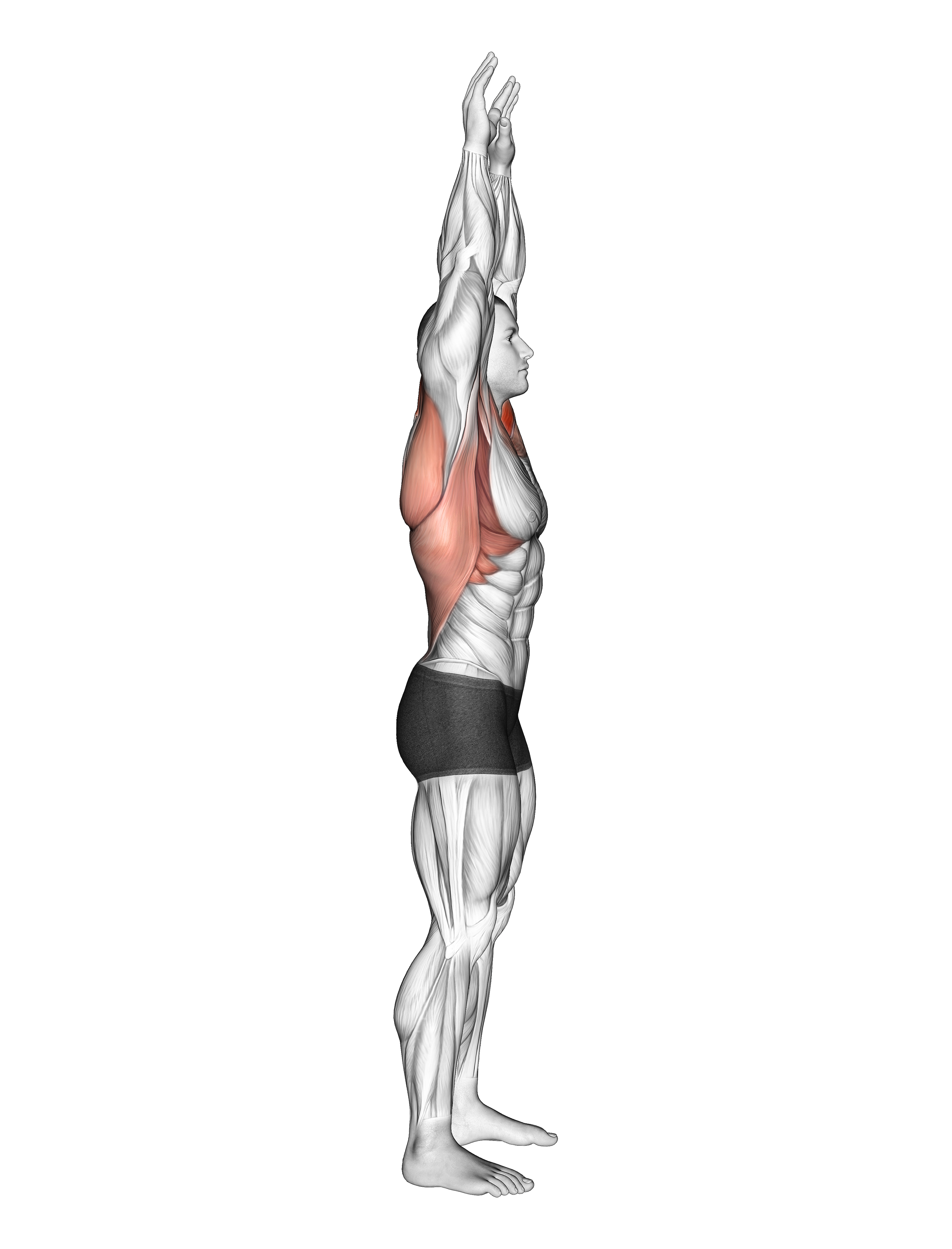 Shoulder Backbend Stretch