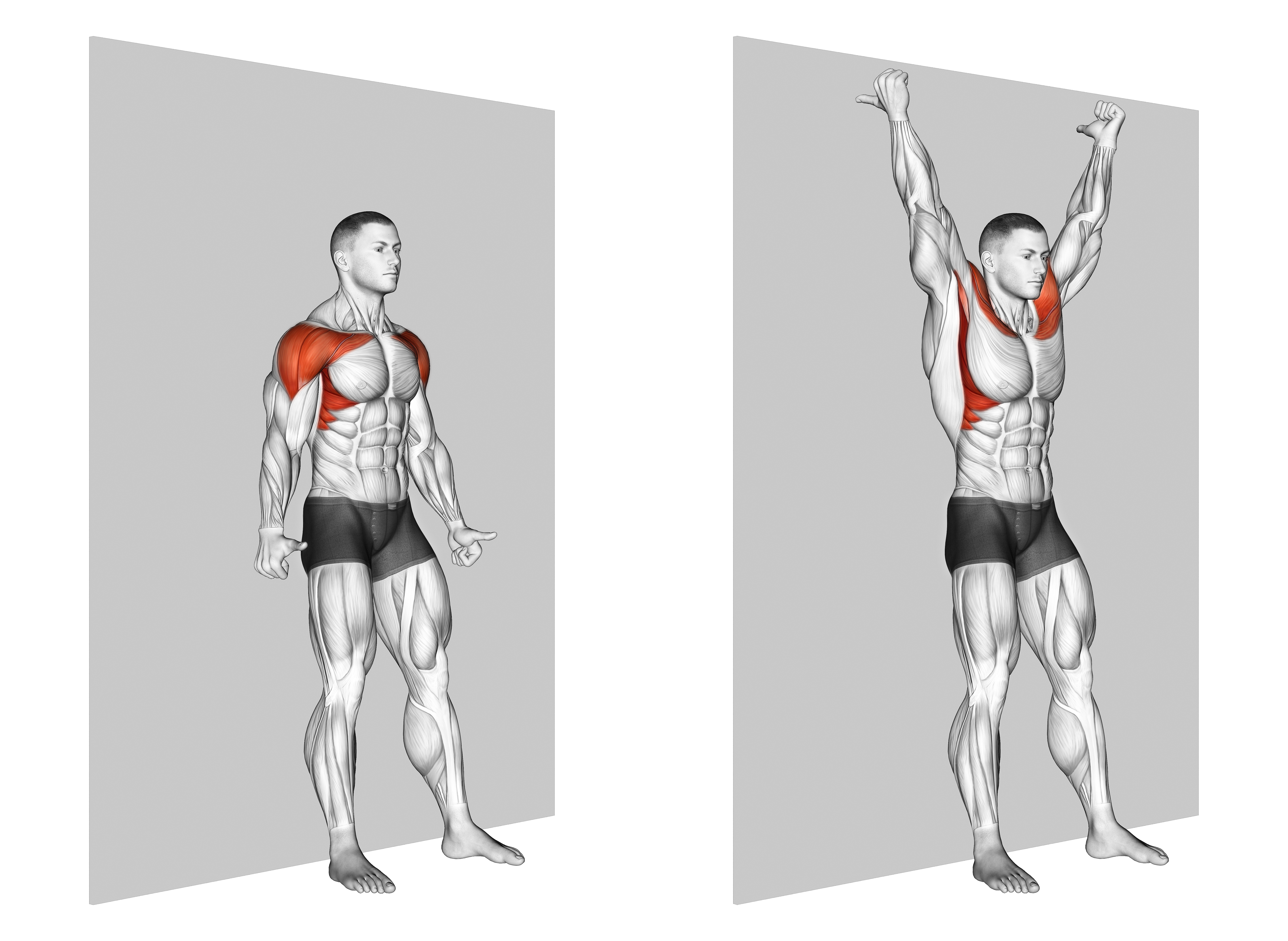 Shoulder Flexion Back To Wall