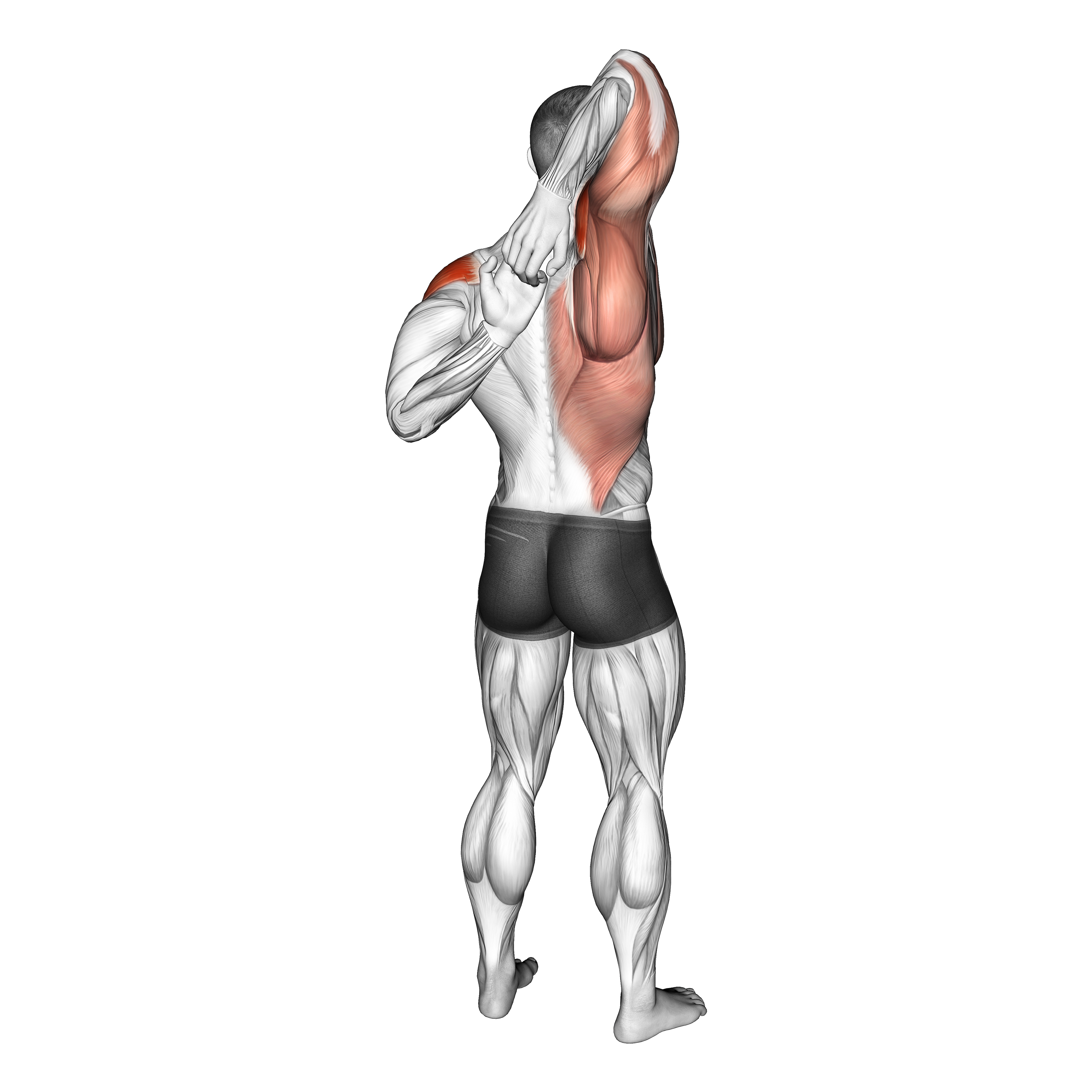 Shoulder Stretch Behind The Back