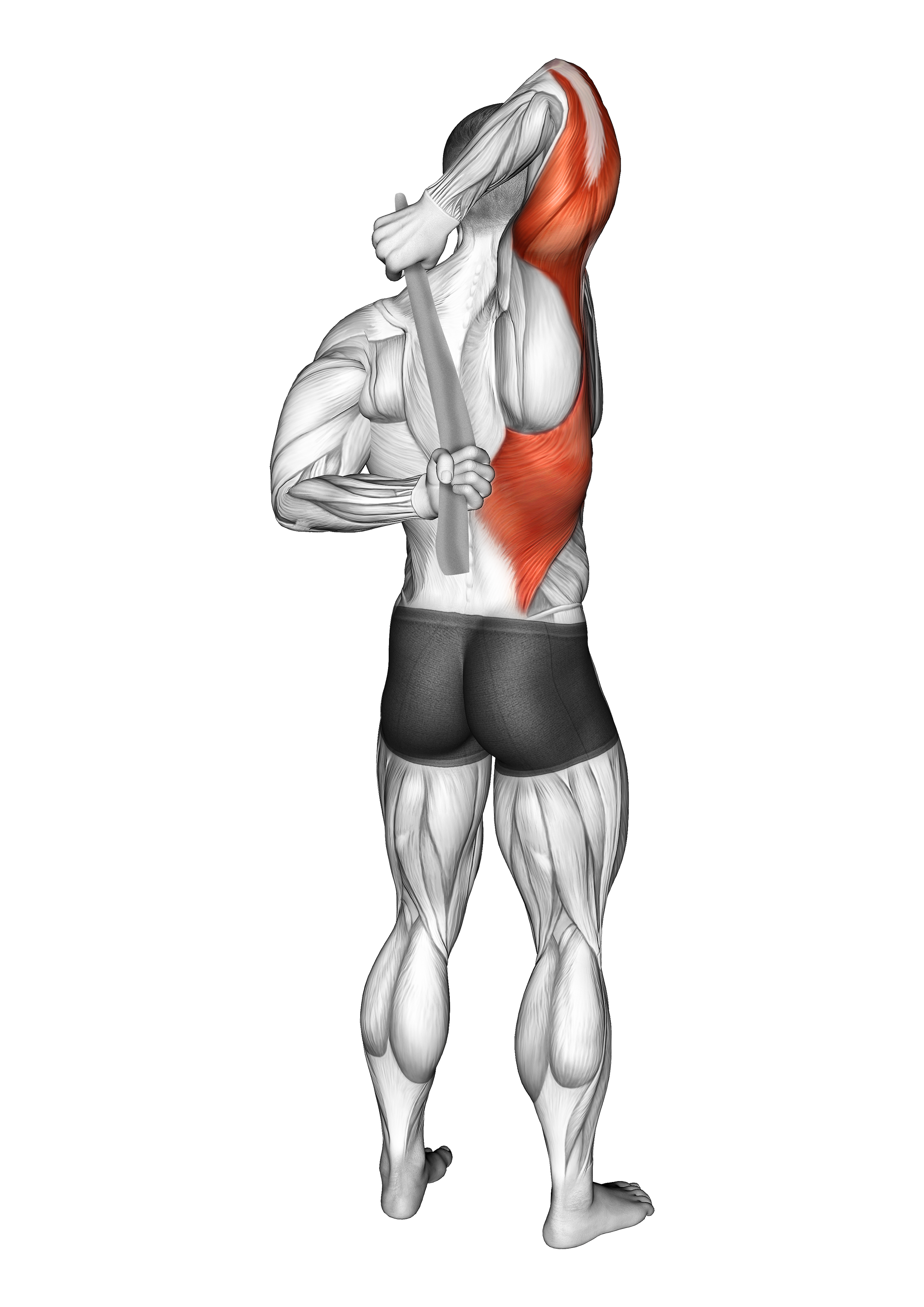 Shoulder Stretch With Towel Behind The Back