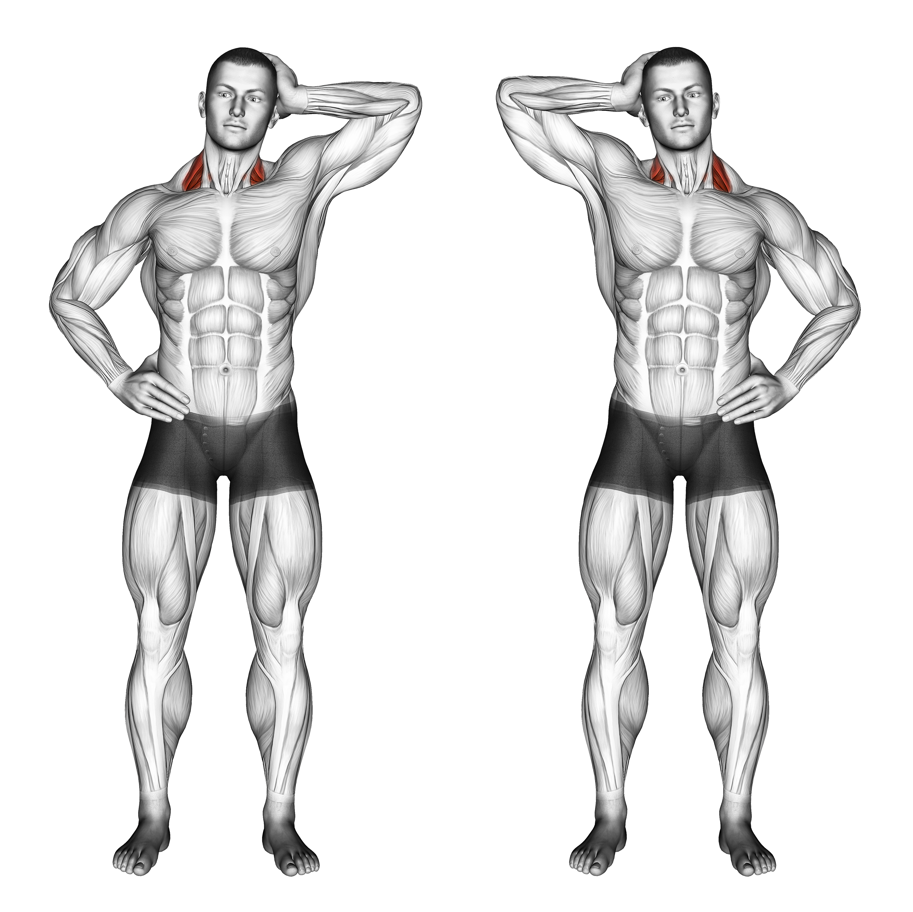 Side Push Neck Stretch
