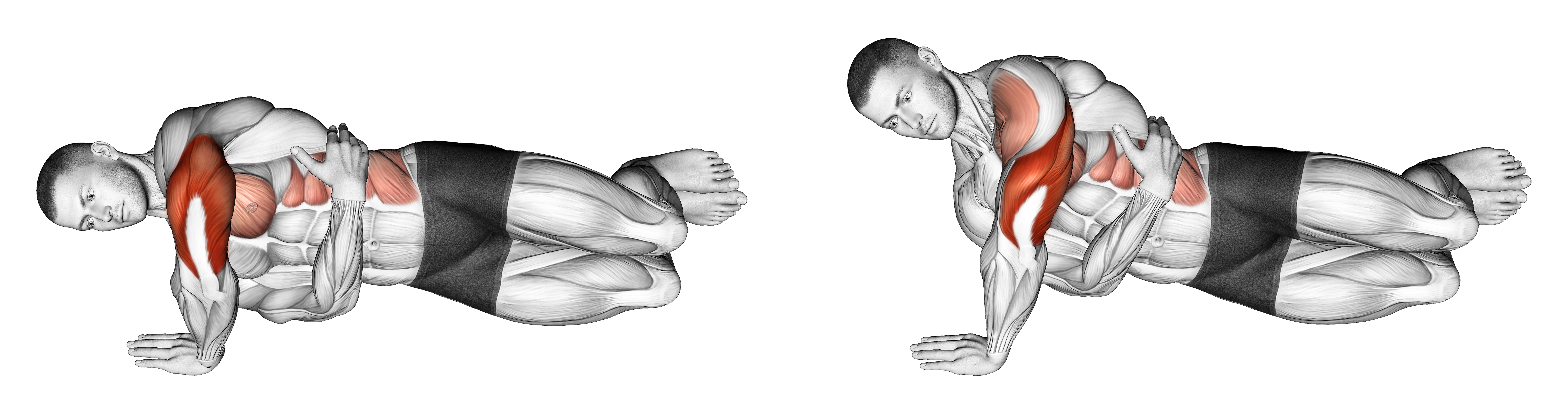 Side Push Up