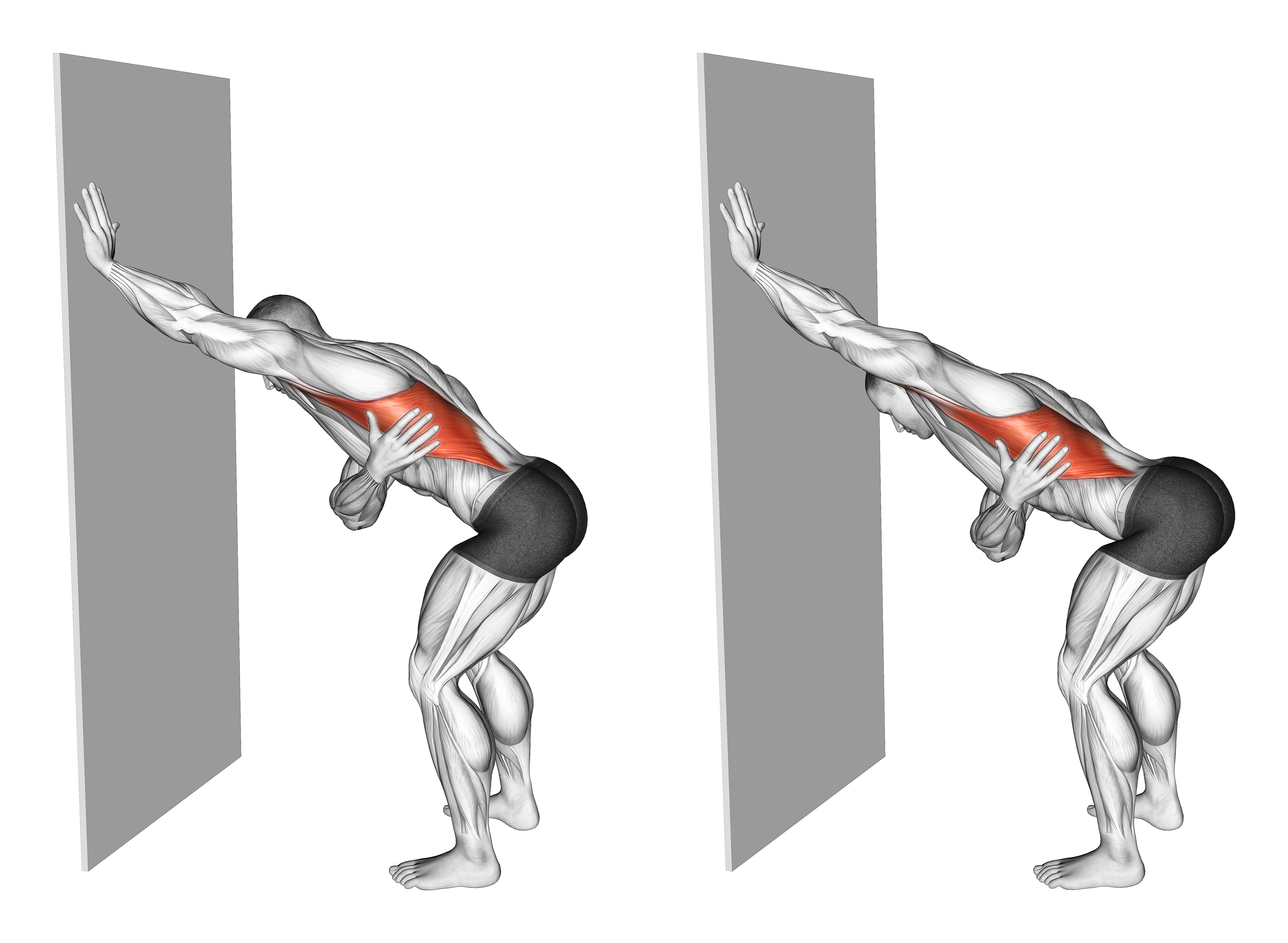Single Arm Lat Stretch Against Wall
