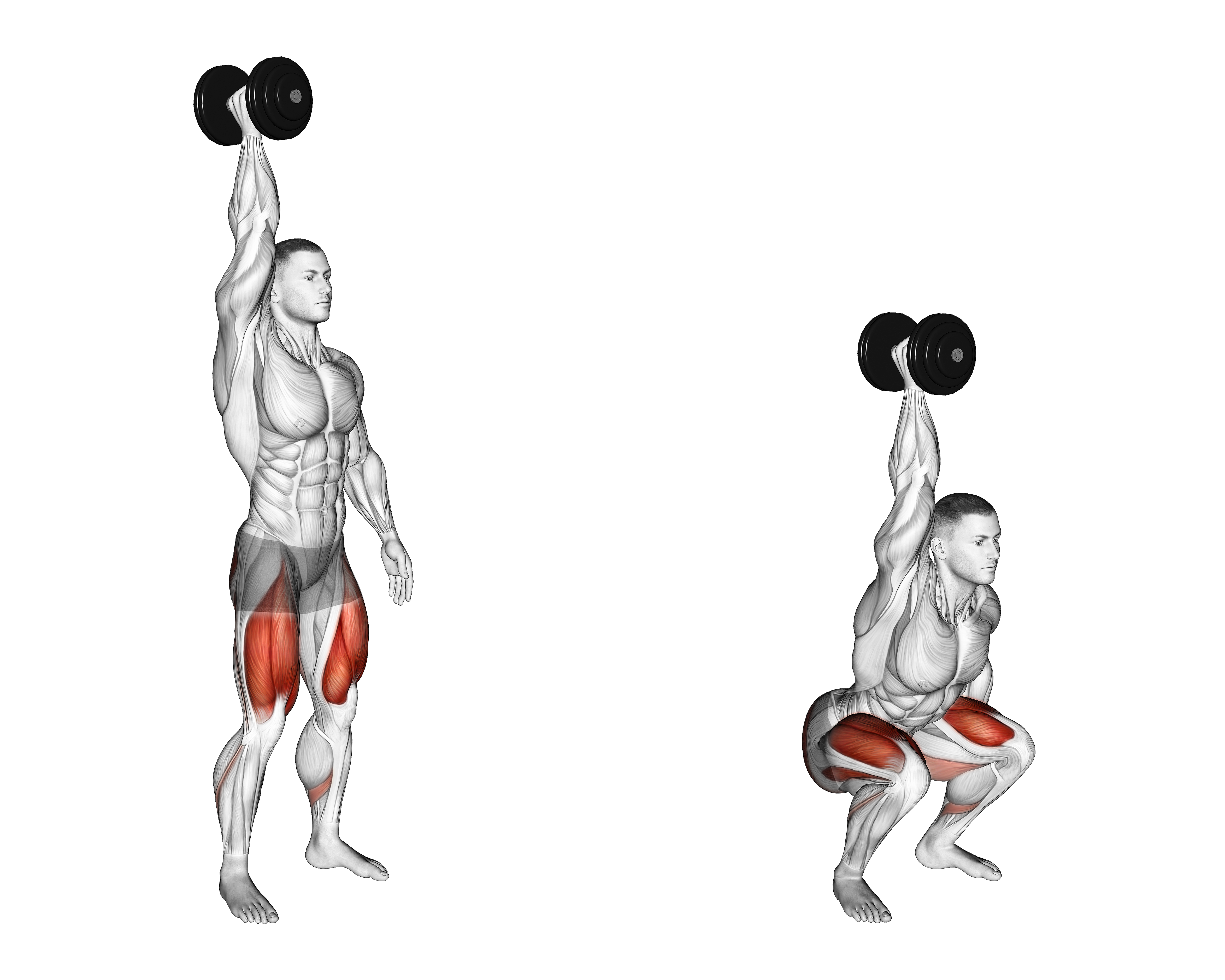 Single Arm Overhead Dumbbell Squat