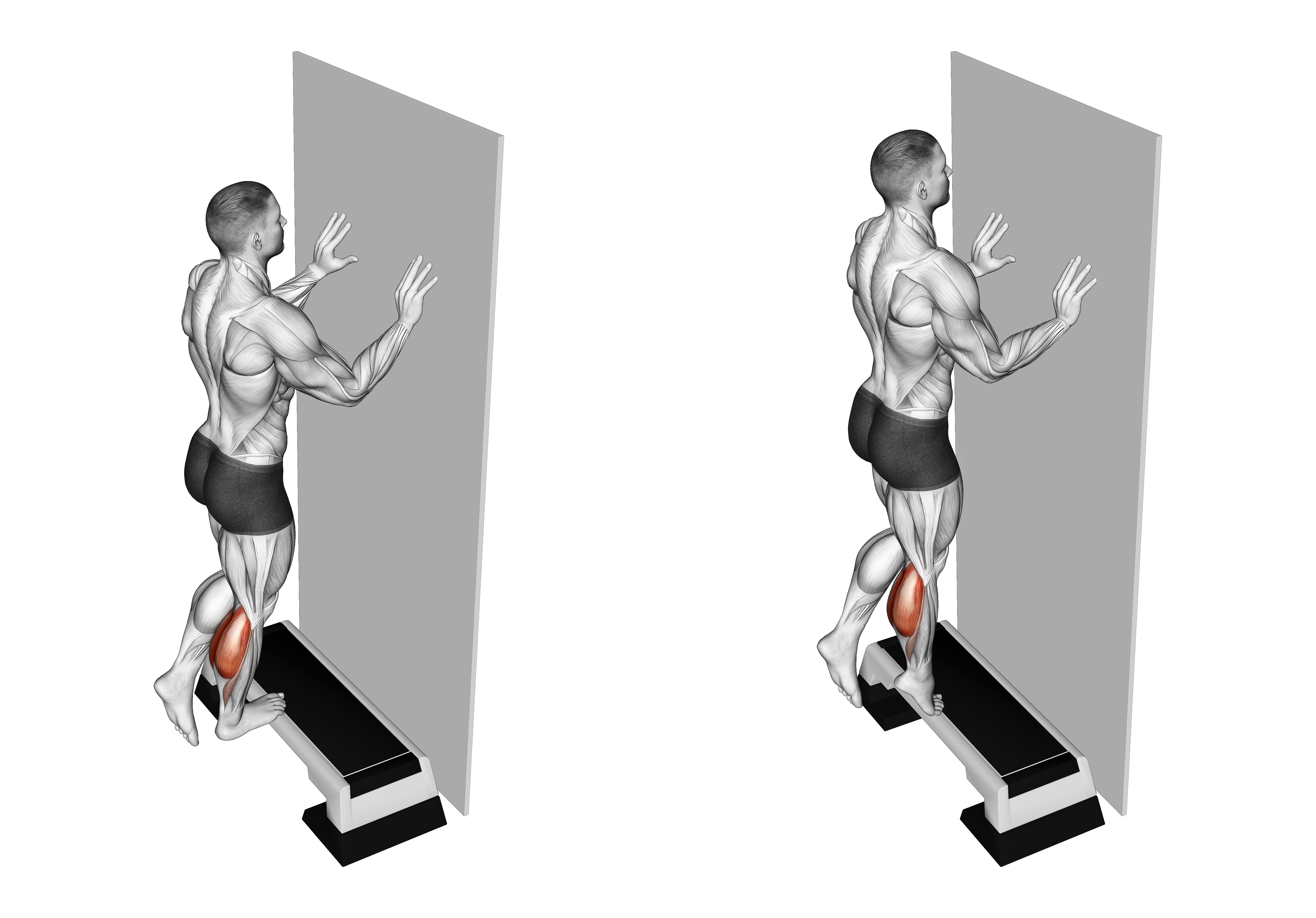 Single Leg Calf Raise Off Step