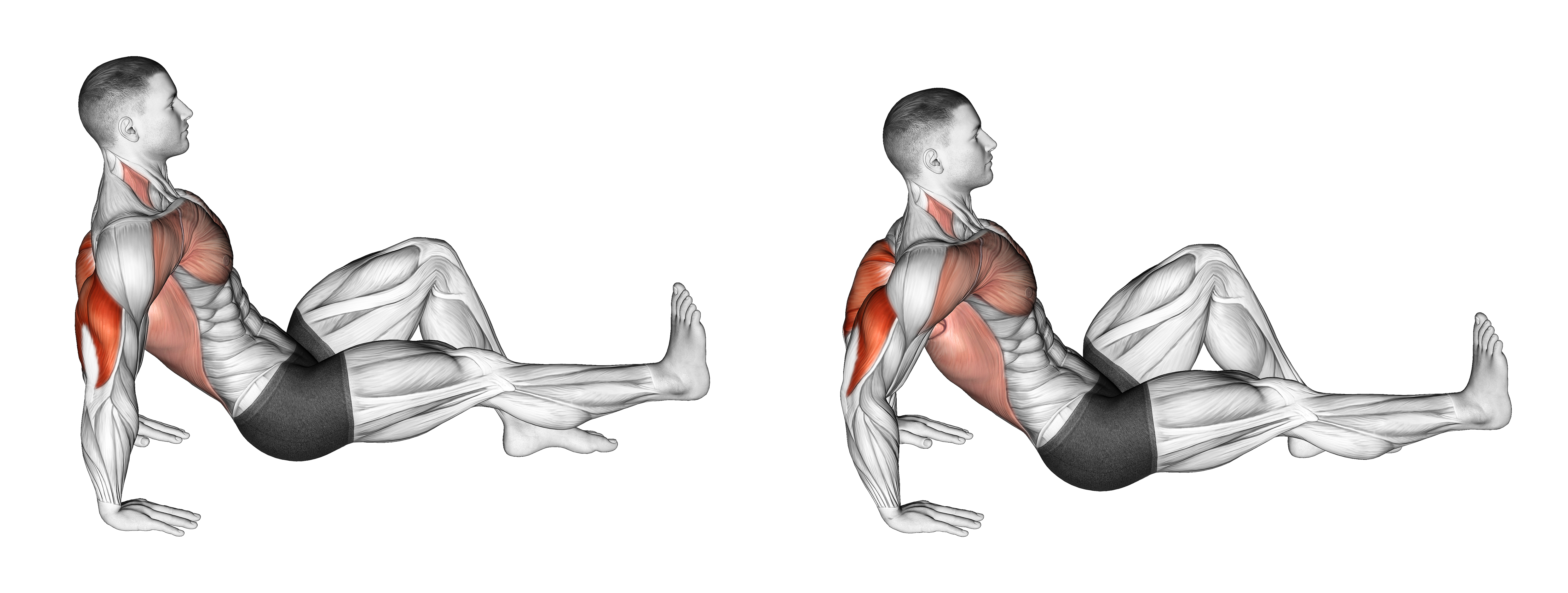 Single Leg Dip On Floor