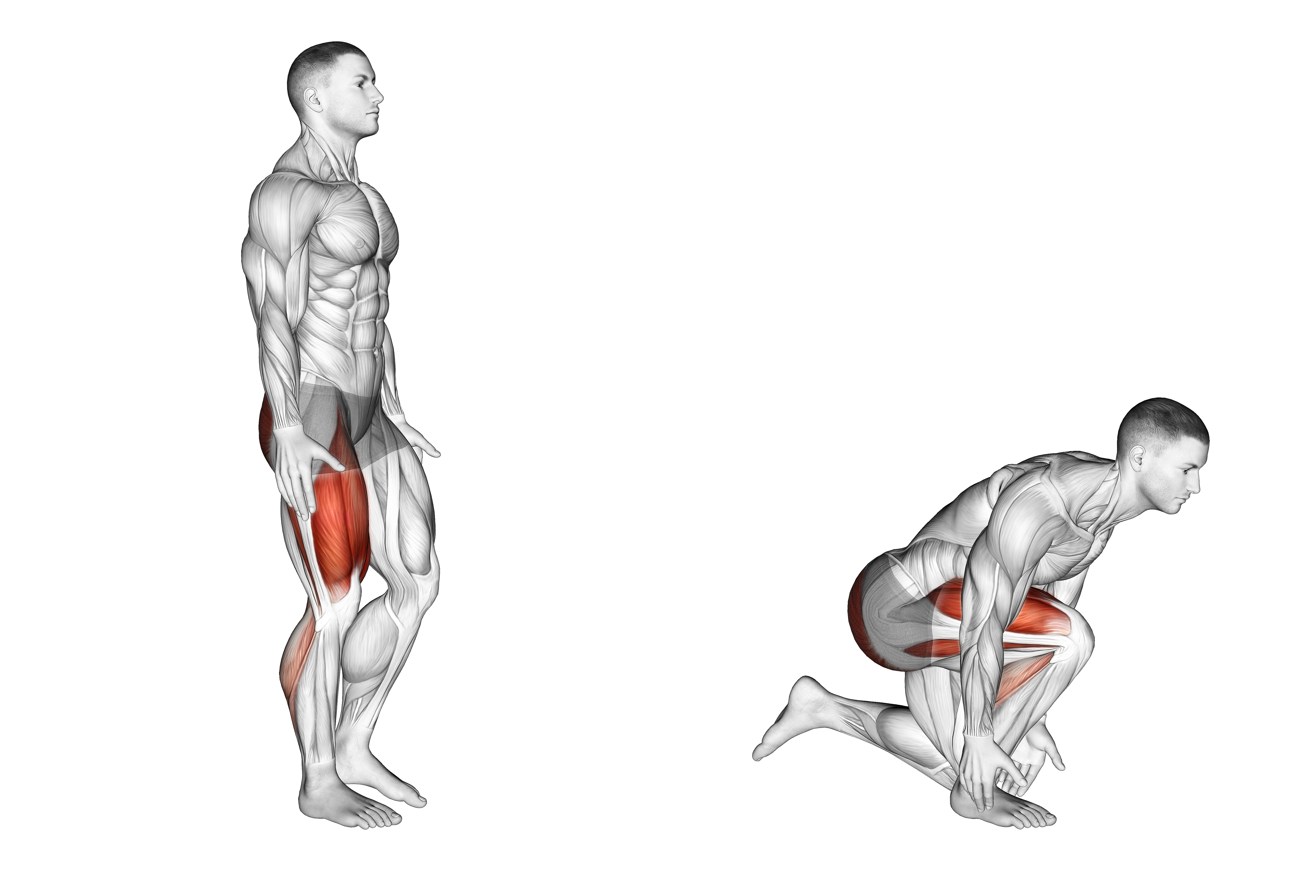 Single Leg Heel Touch Squat