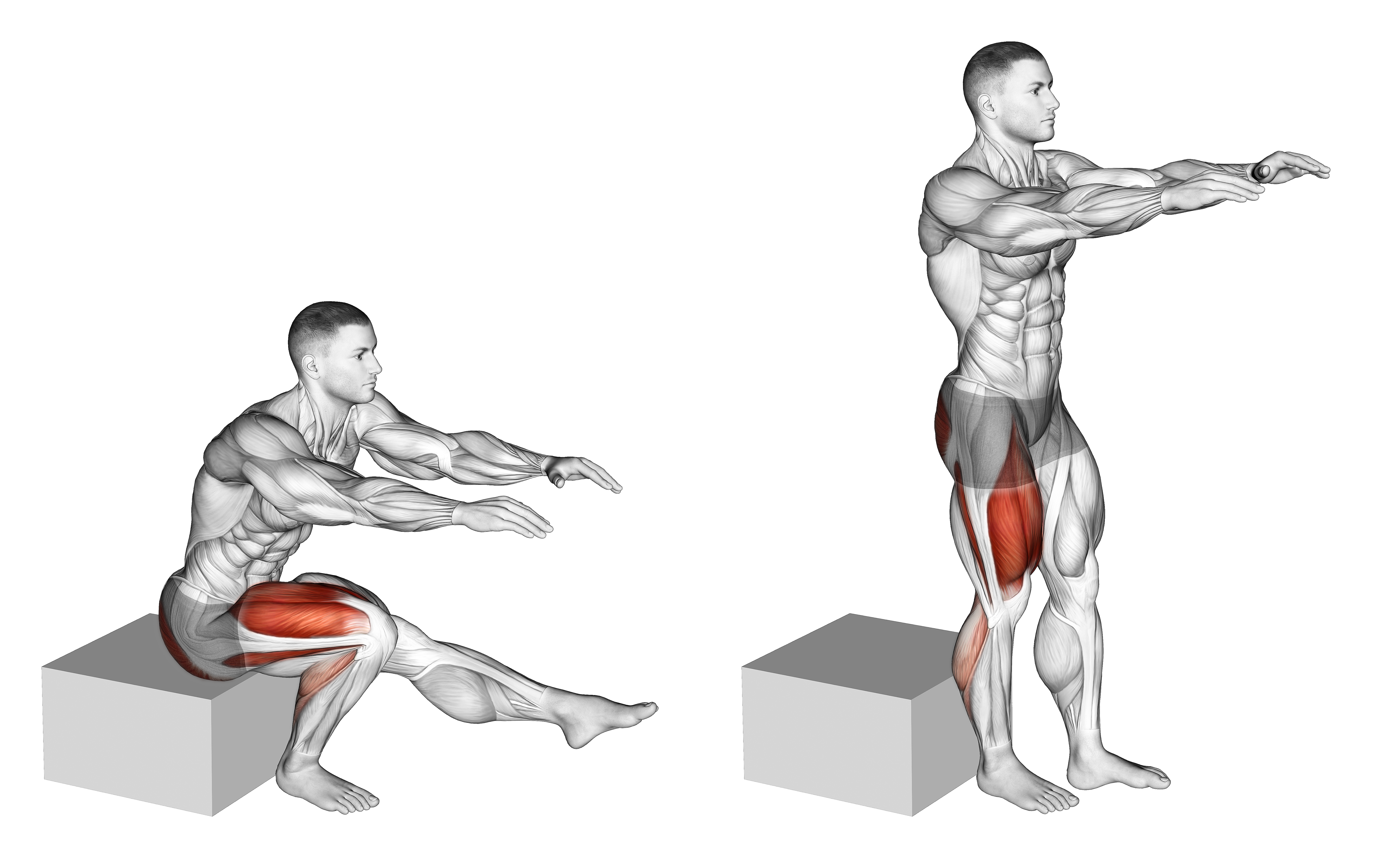 Single Leg Low Box Squat