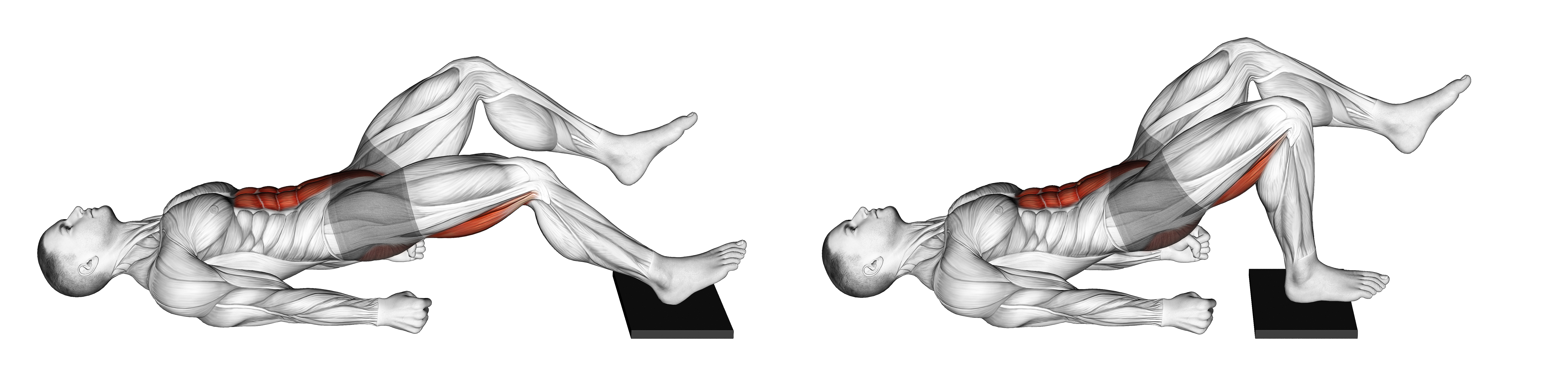 Single Leg Sliding Floor Bridge Curl On Towel
